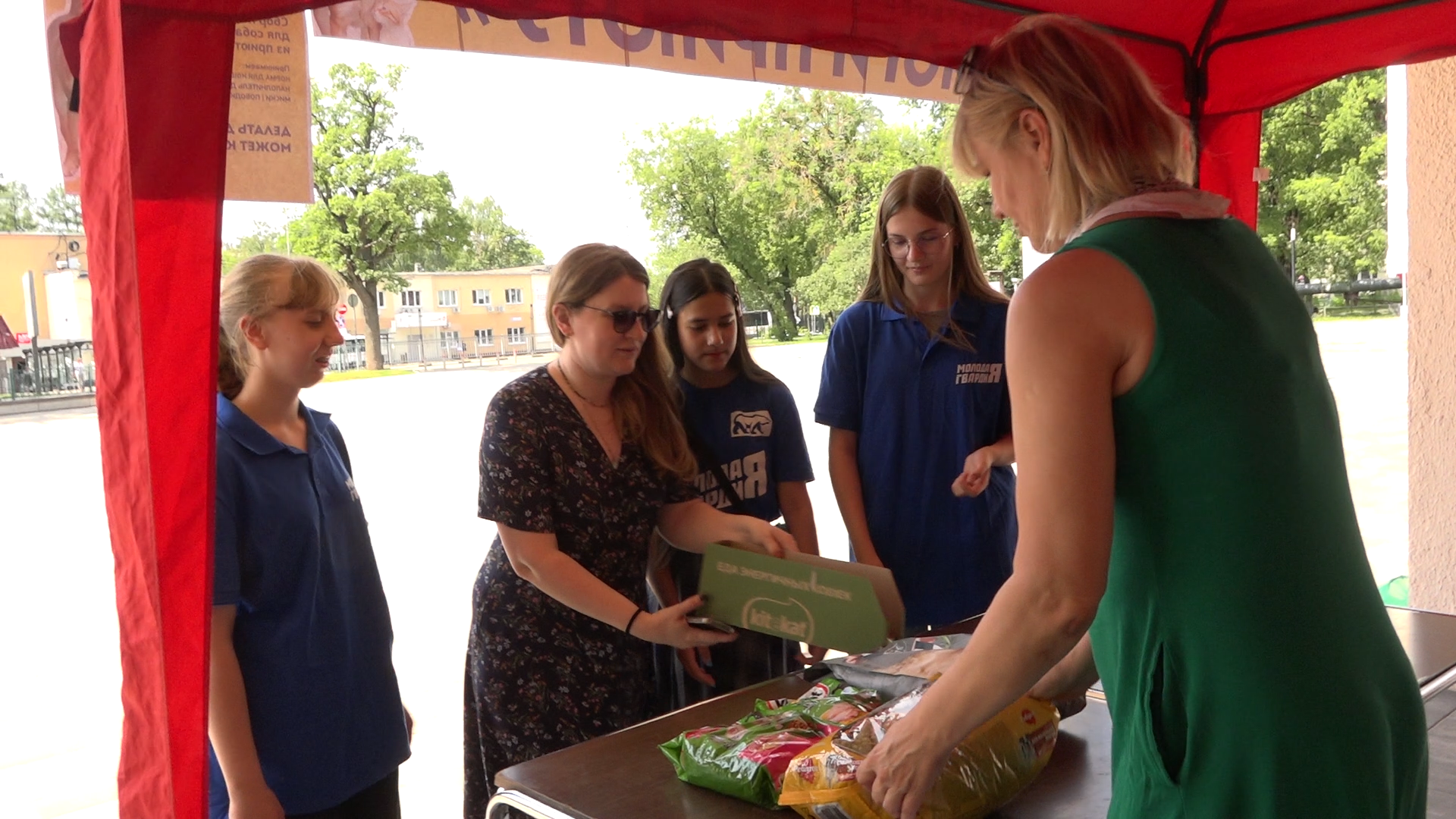 приют для собак,приют для животных, приют Умка Лесной городок, помощь бездомным животным, власиха благотворительность,