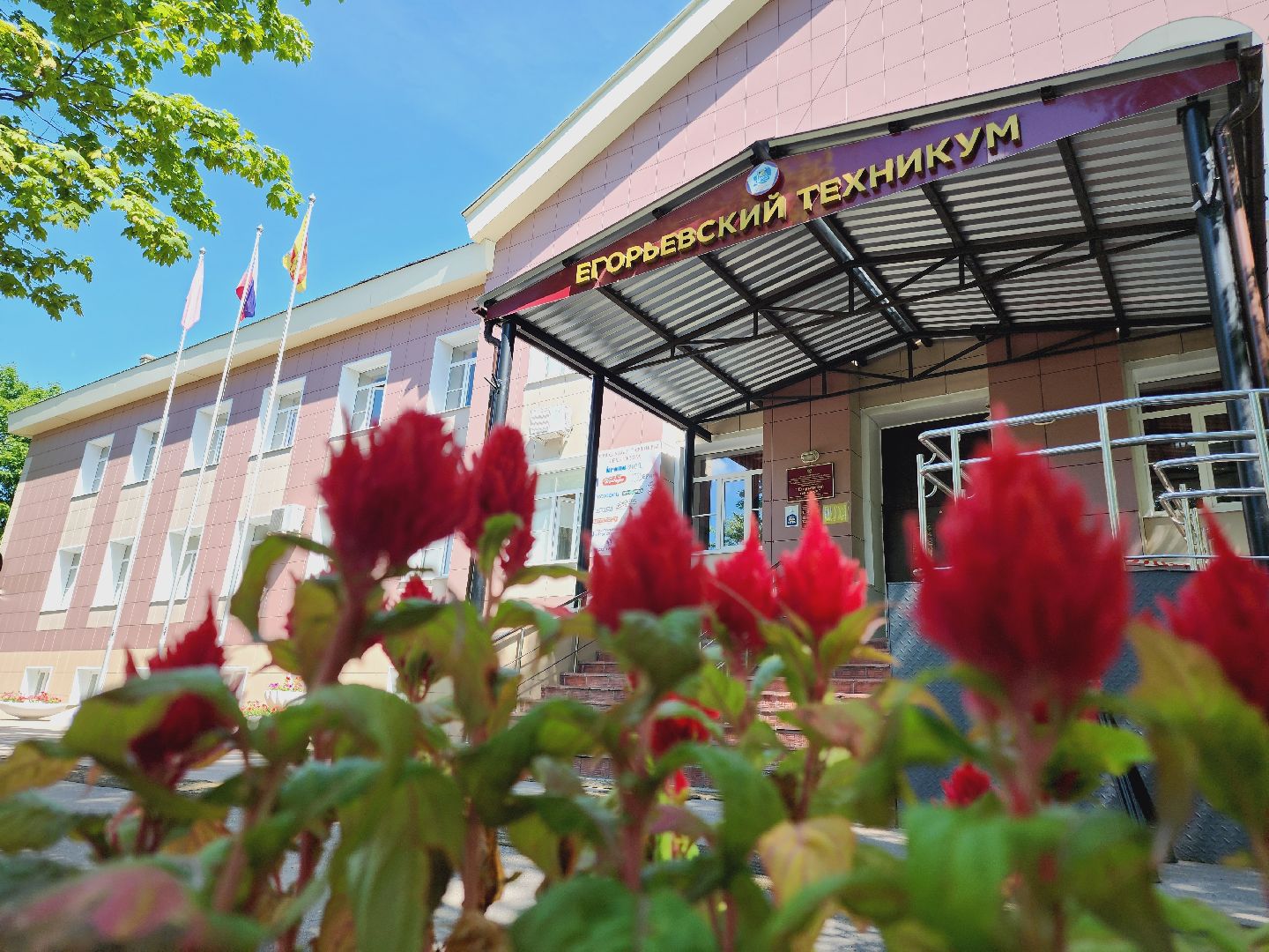 Егорьевский техникум, Подмосковье, Московская область, абилимпикс,