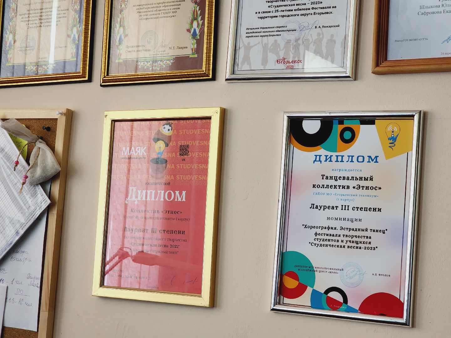 Егорьевский техникум, Подмосковье, Московская область, абилимпикс,