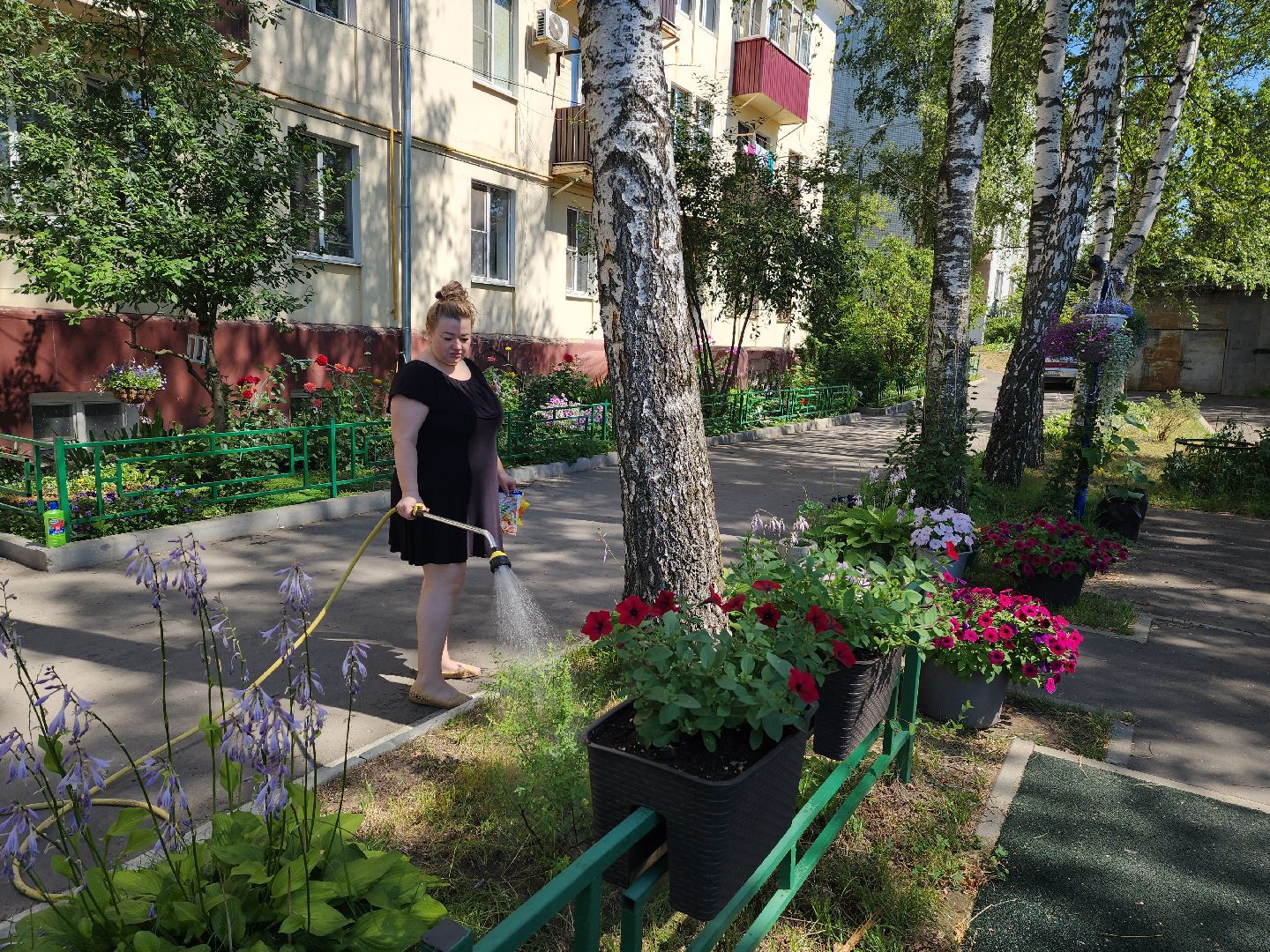 красногорск, опалиха, сад, цветы,