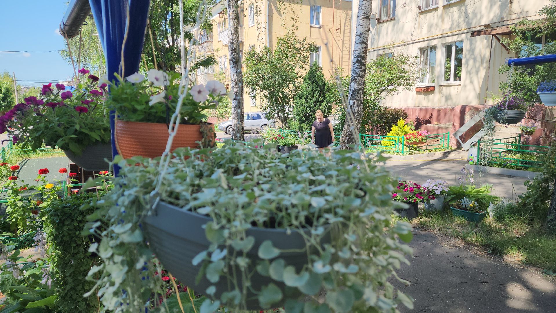 красногорск, опалиха, сад, цветы,