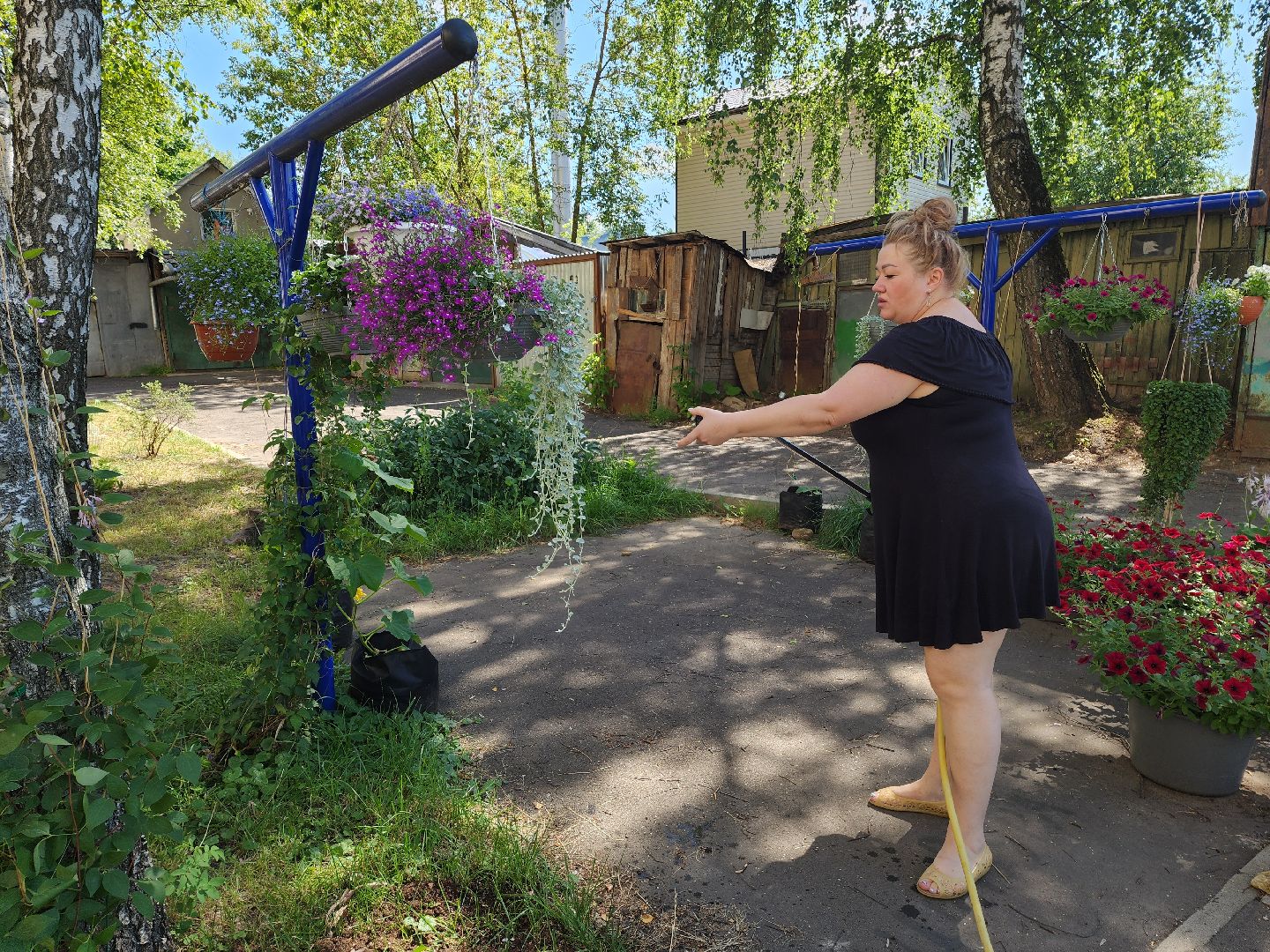 красногорск, опалиха, сад, цветы,