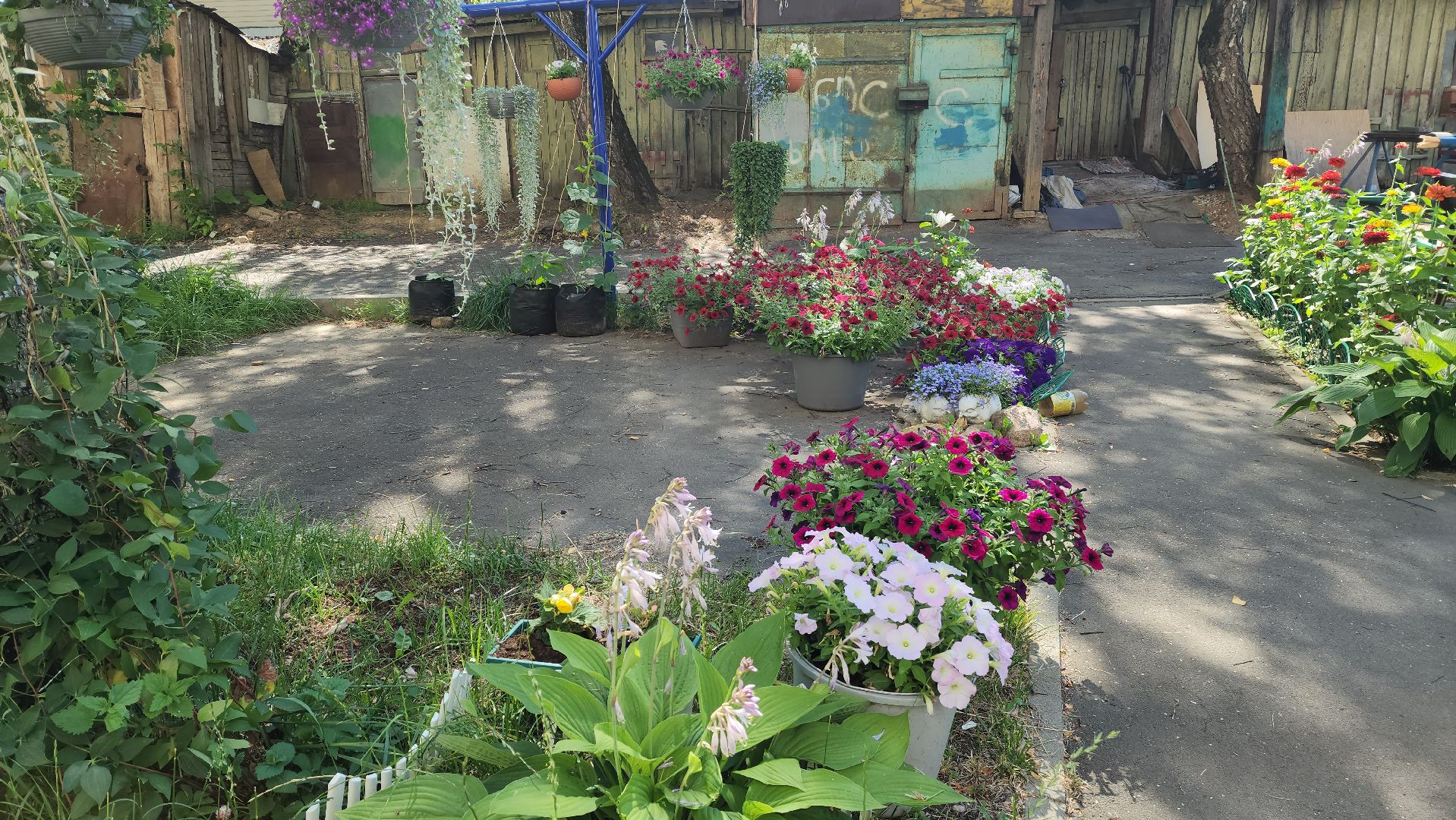 красногорск, опалиха, сад, цветы,