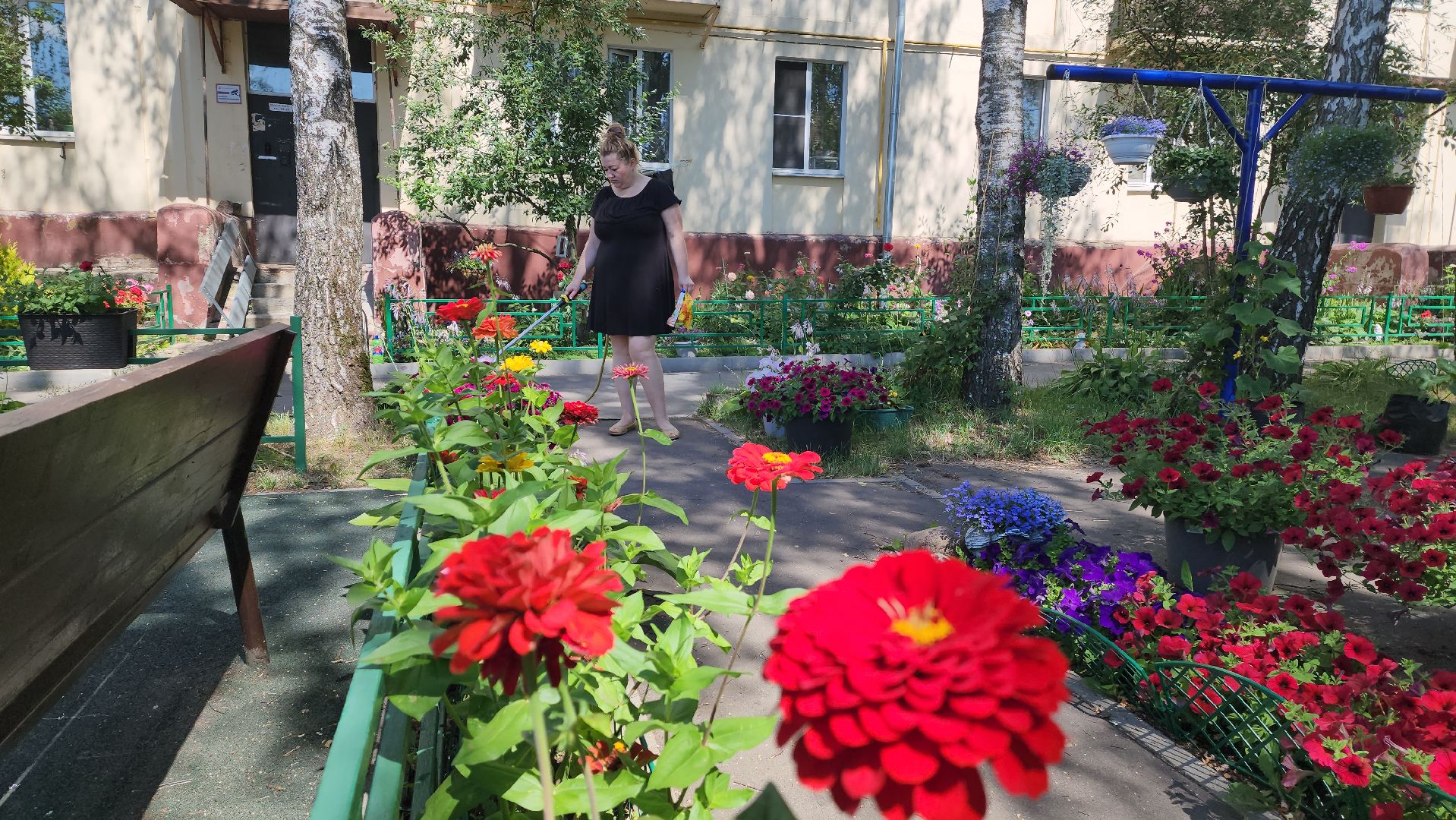 красногорск, опалиха, сад, цветы,