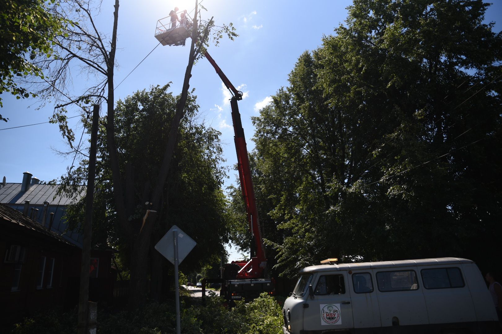 Бронницы, Благоустройство, Опиловка деревьев, Работы по опиловке, мбу благоустройство,