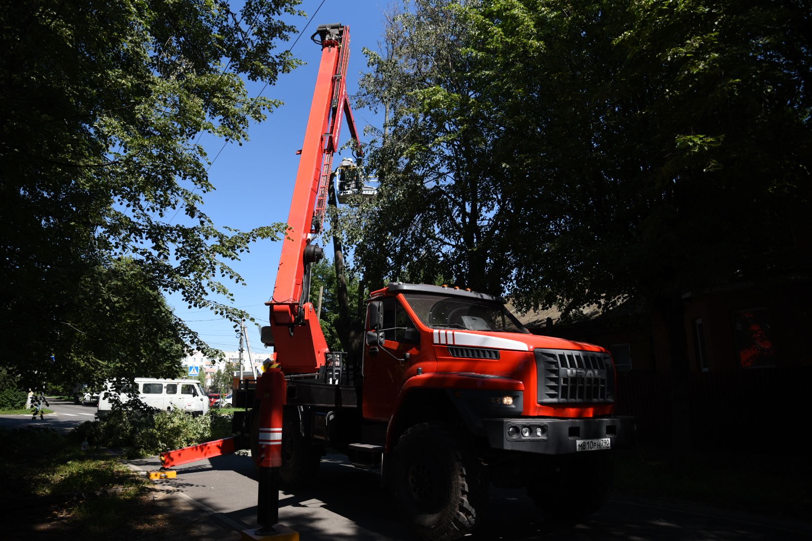 Бронницы, Благоустройство, Опиловка деревьев, Работы по опиловке, мбу благоустройство,