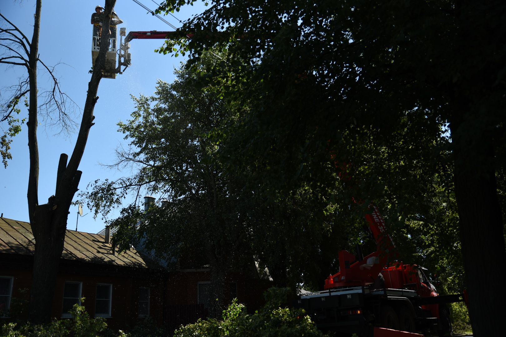 Бронницы, Благоустройство, Опиловка деревьев, Работы по опиловке, мбу благоустройство,