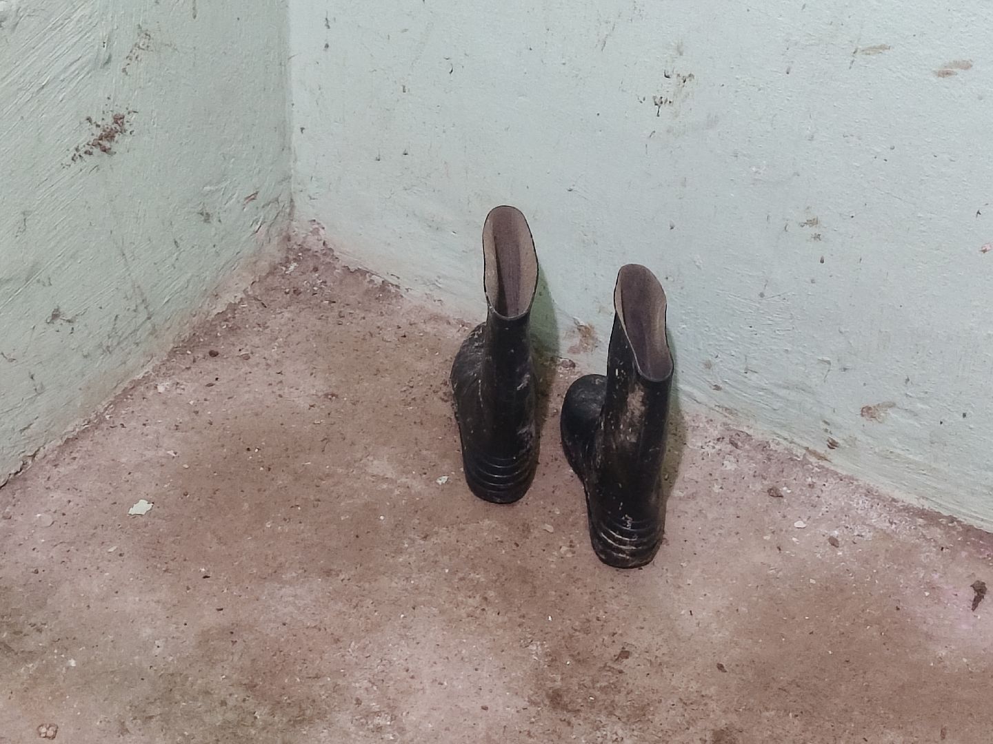 Андроник Пак, дзержинский, выездная администрация,