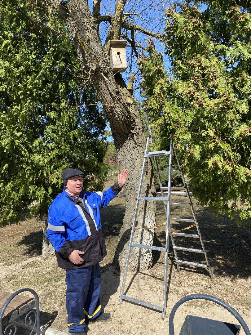 Чехов, перемены, благоустройство, скворечник, парк