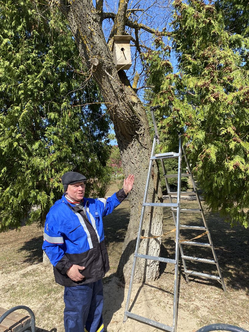 Чехов, перемены, благоустройство, скворечник, парк