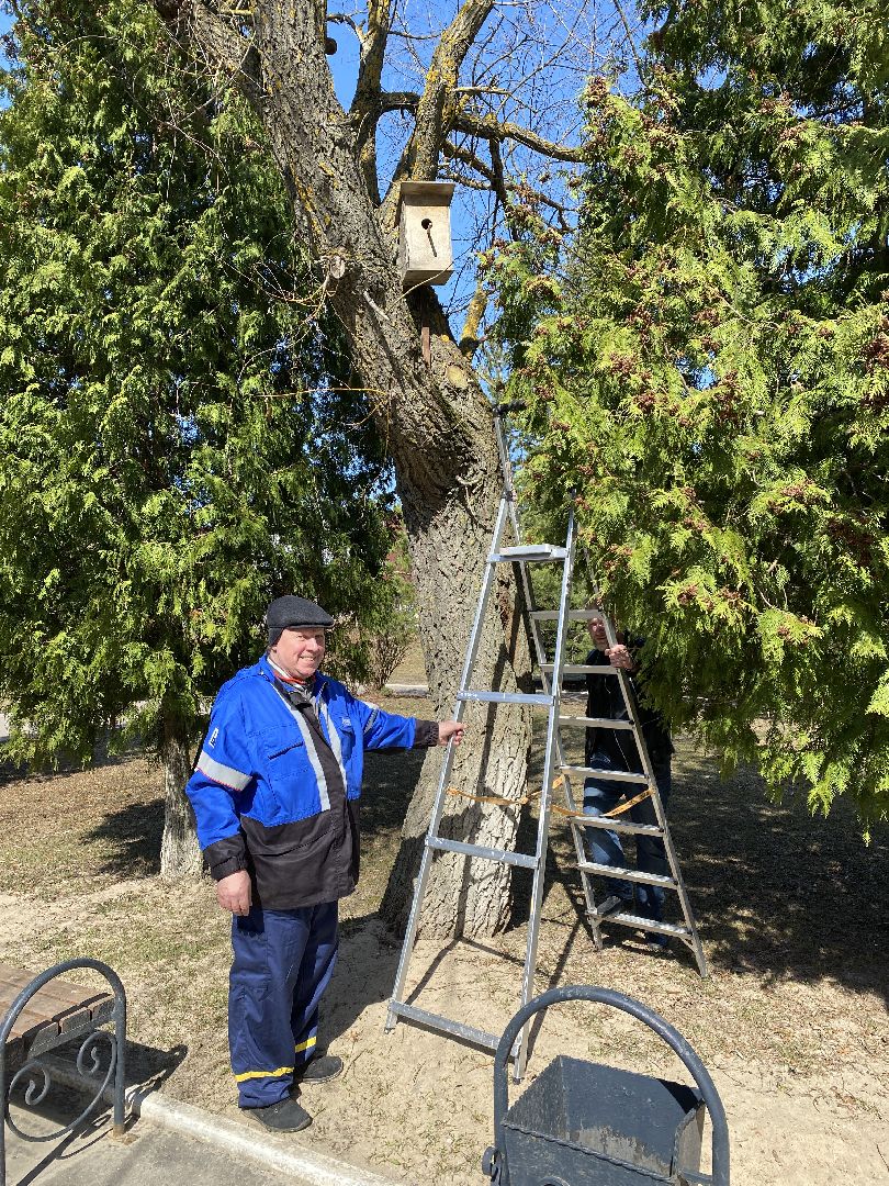 Чехов, перемены, благоустройство, скворечник, парк