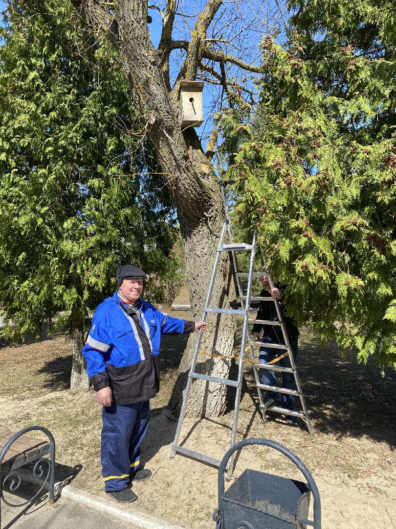 Чехов, перемены, благоустройство, скворечник, парк