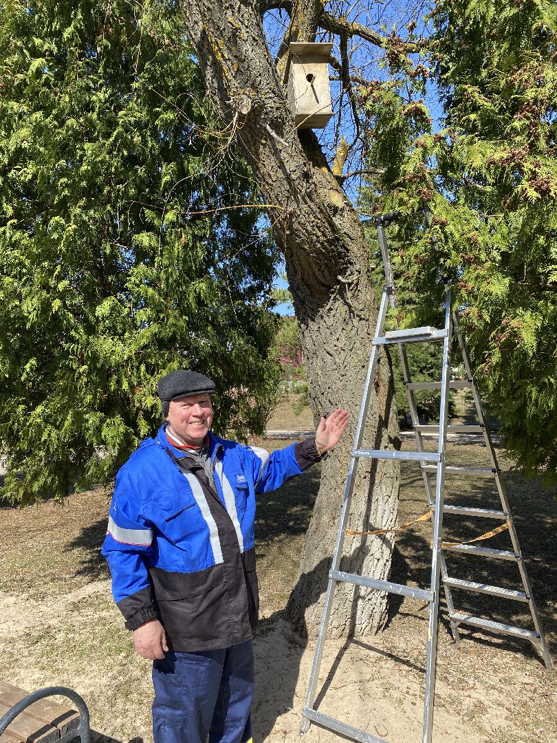 Чехов, перемены, благоустройство, скворечник, парк