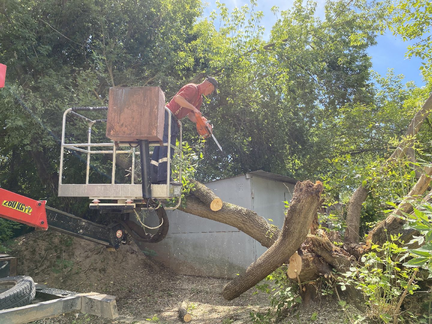 Коломна, ДГХ, опил деревьев,