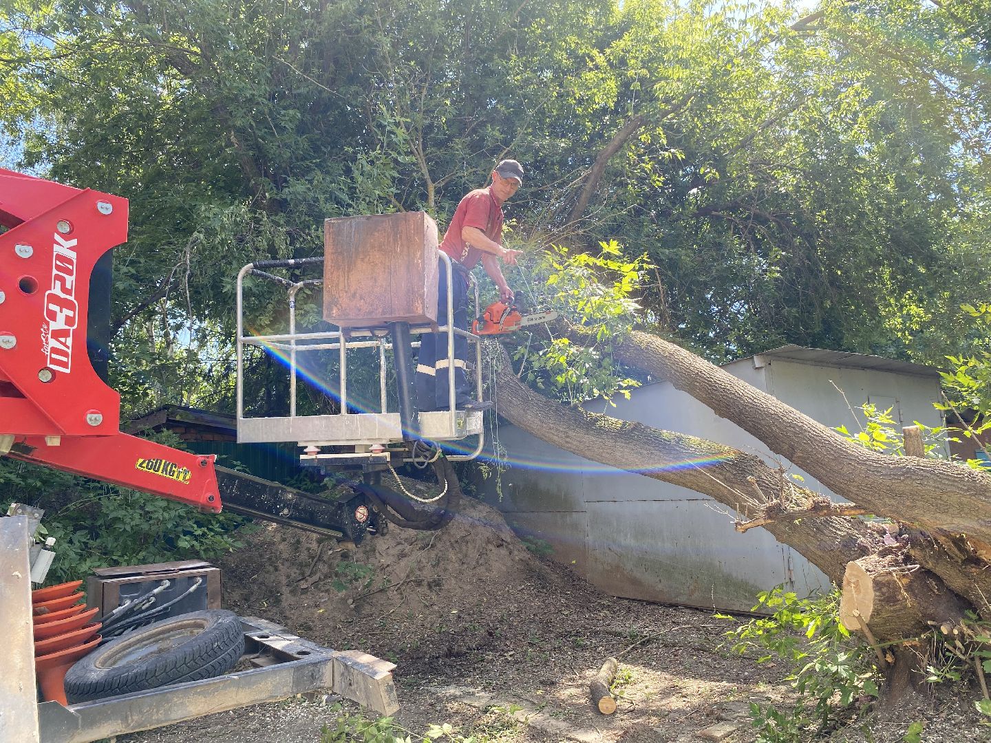 Коломна, ДГХ, опил деревьев,