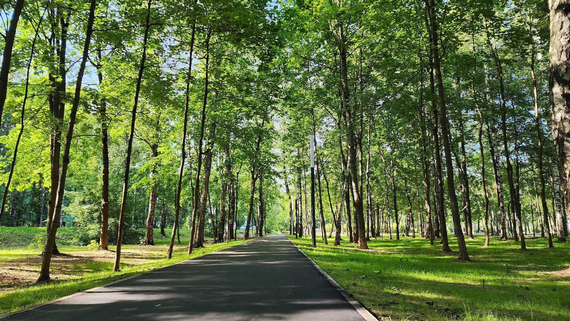 Асфальт, тропинка, дорога, Лобня,