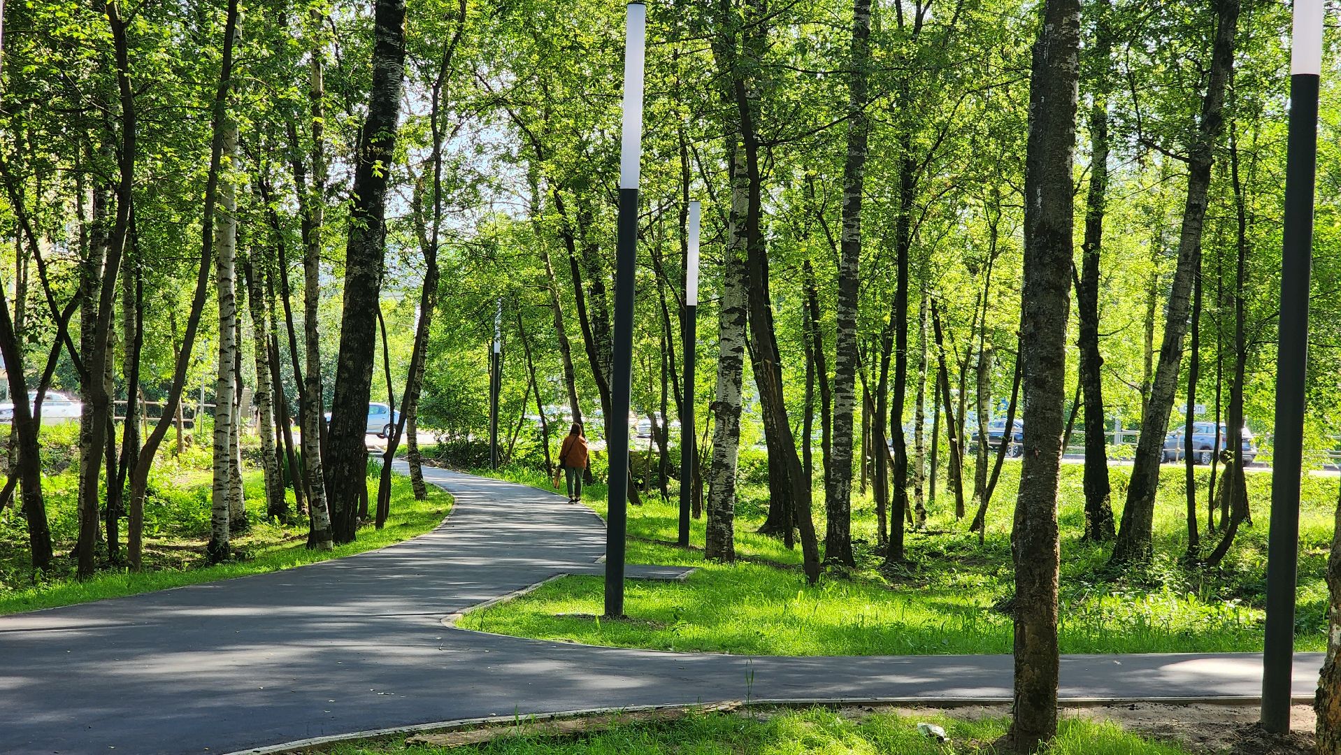 Асфальт, тропинка, дорога, Лобня,