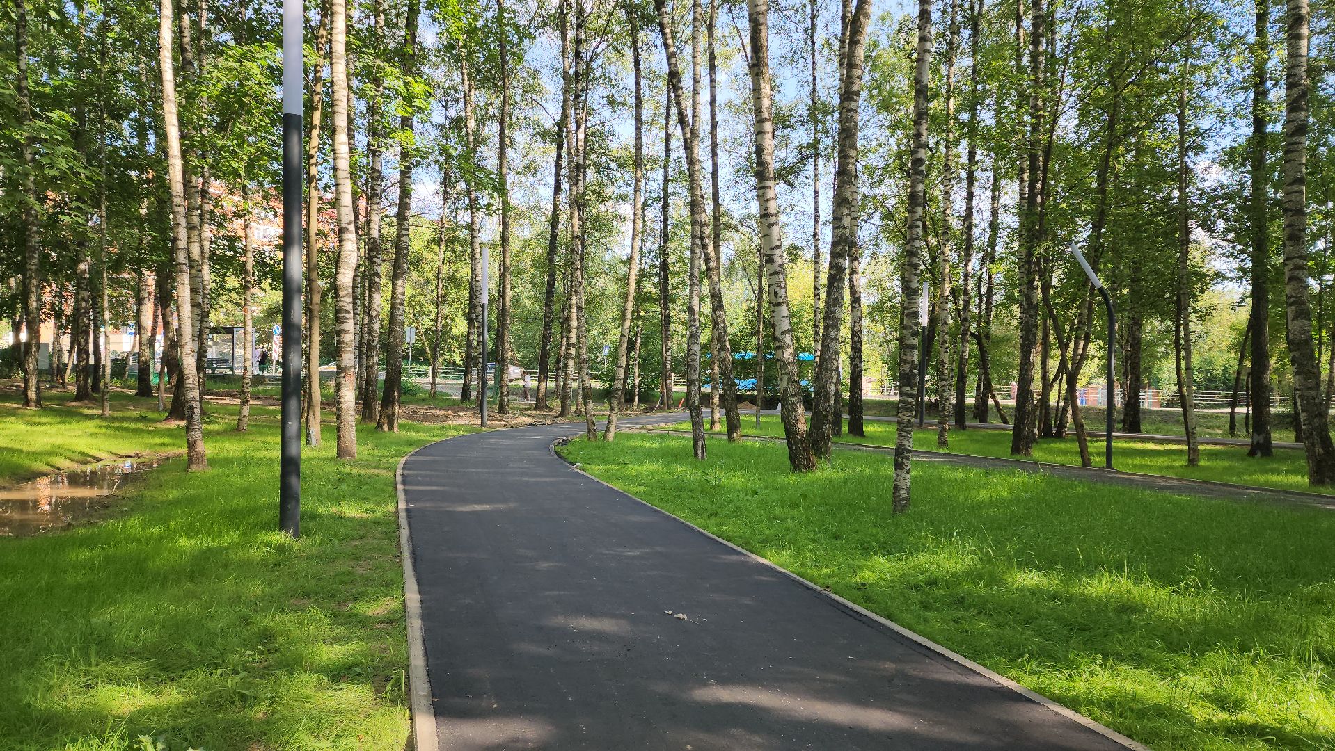 Асфальт, тропинка, дорога, Лобня,