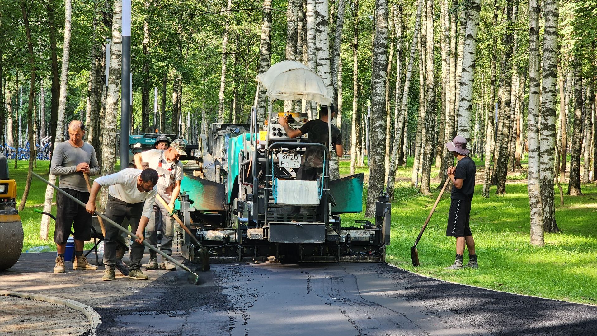 Асфальт, тропинка, дорога, Лобня,