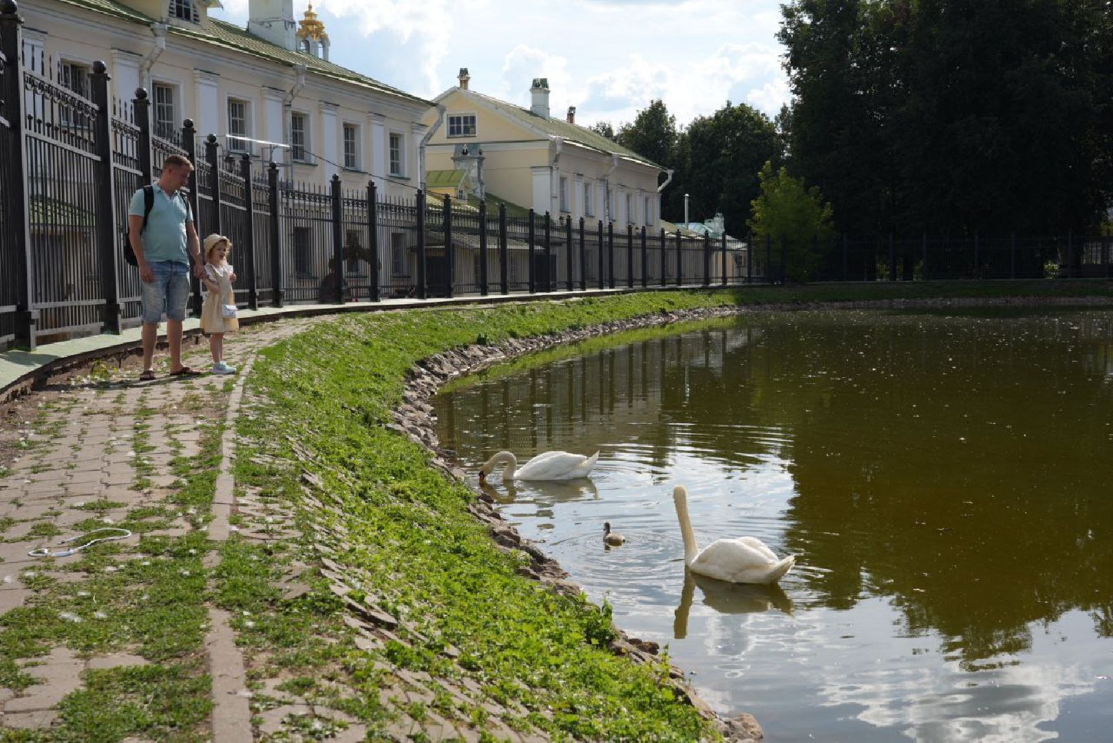 Сергиев Посад, Безопасный регион, Белый пруд, Белые лебеди, Видеонаблюдение,