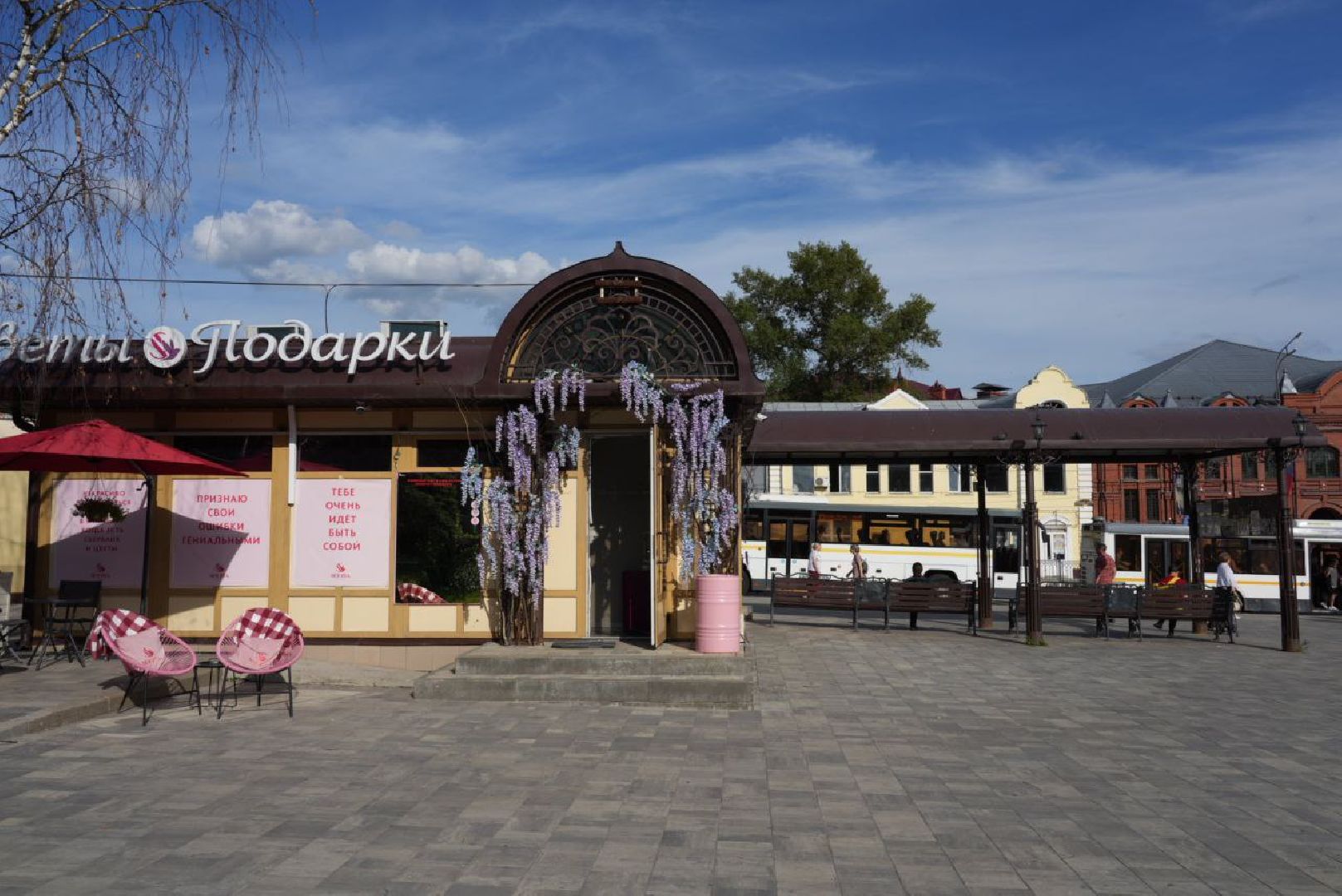 Сергиев Посад, Безопасный регион, Белый пруд, Белые лебеди, Видеонаблюдение,