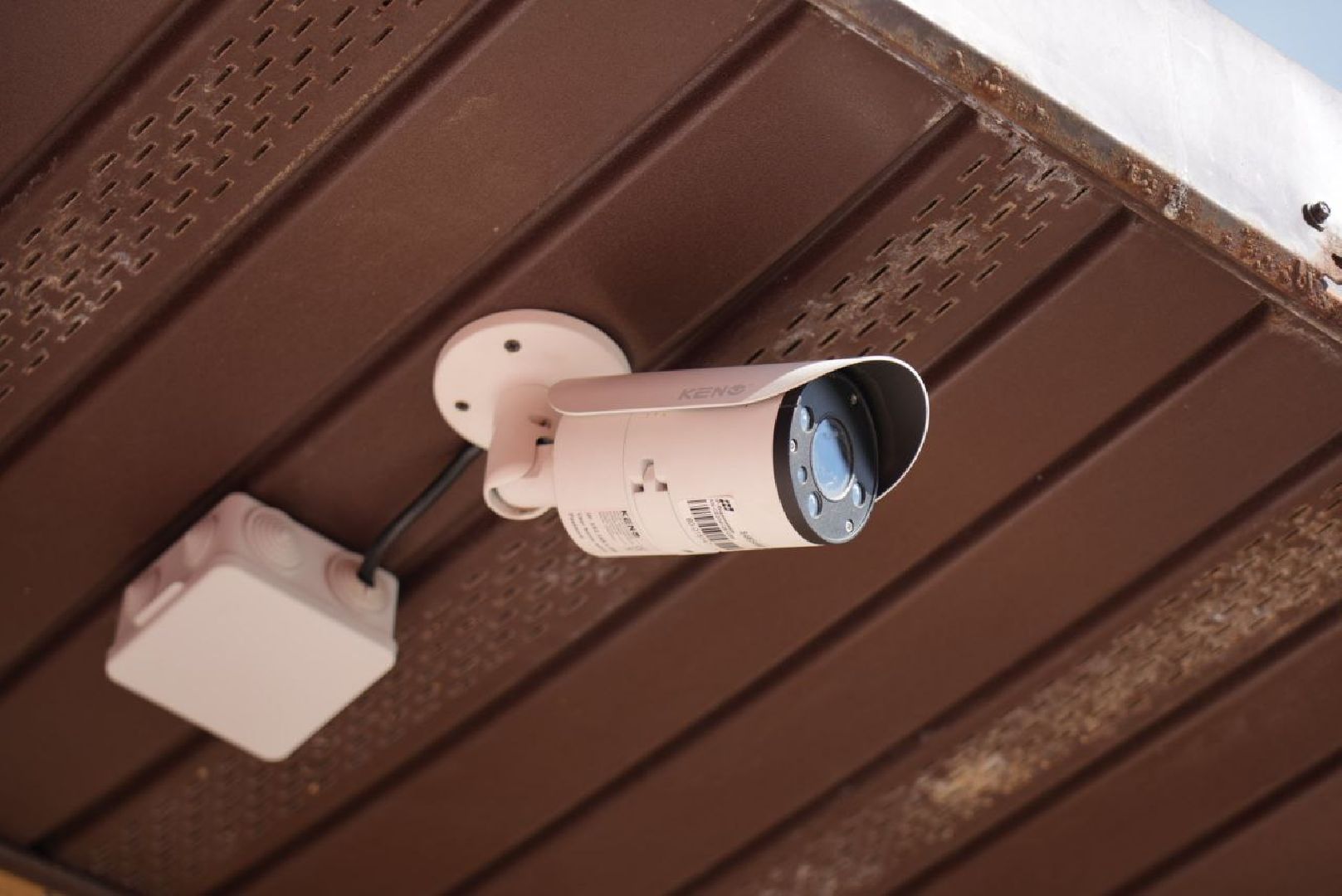 Сергиев Посад, Безопасный регион, Белый пруд, Белые лебеди, Видеонаблюдение,