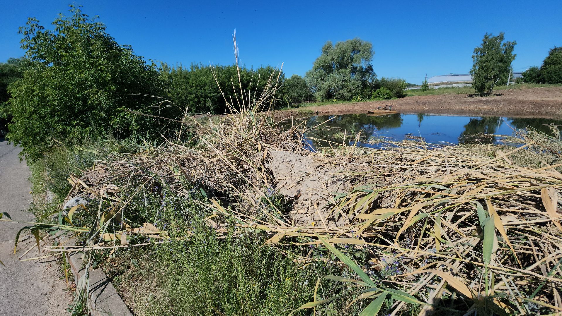 серпухов, поселок мирный, расчистка пруда, экология,