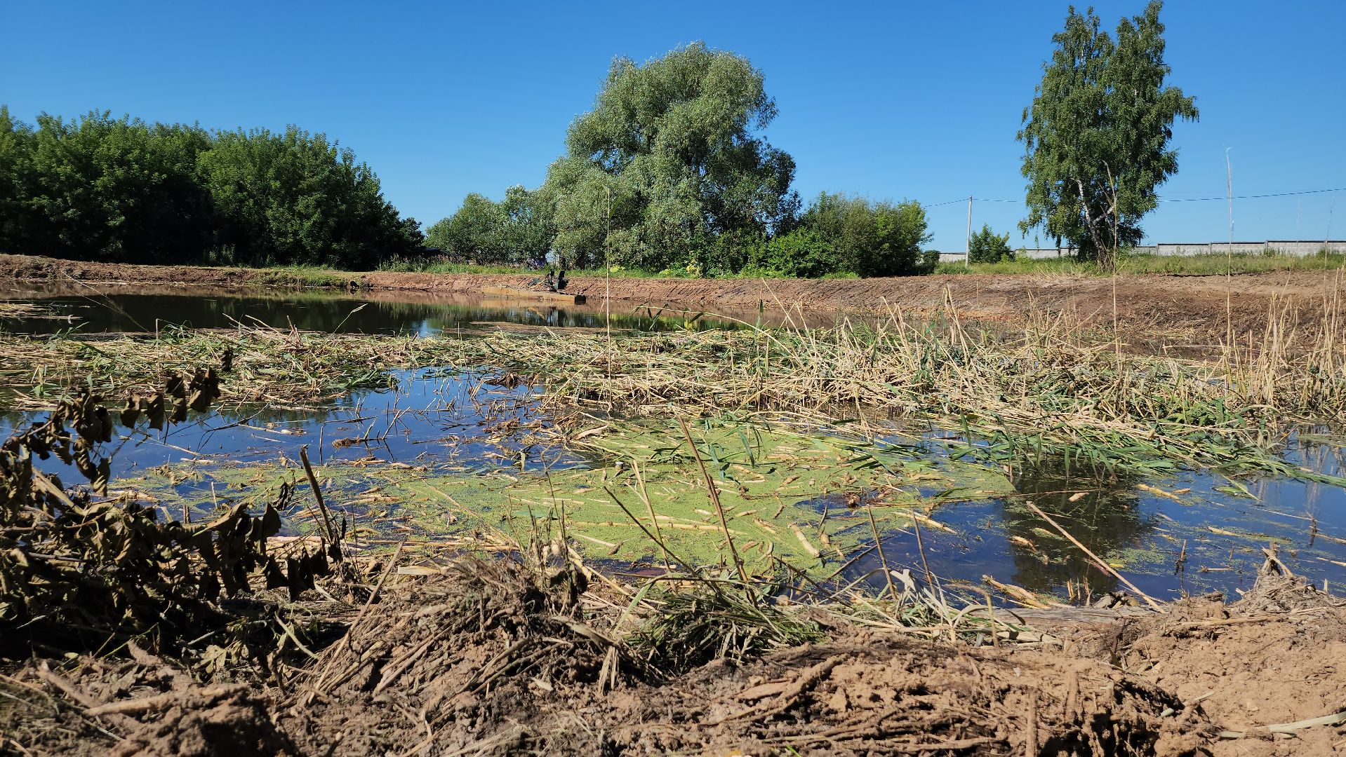 серпухов, поселок мирный, расчистка пруда, экология,