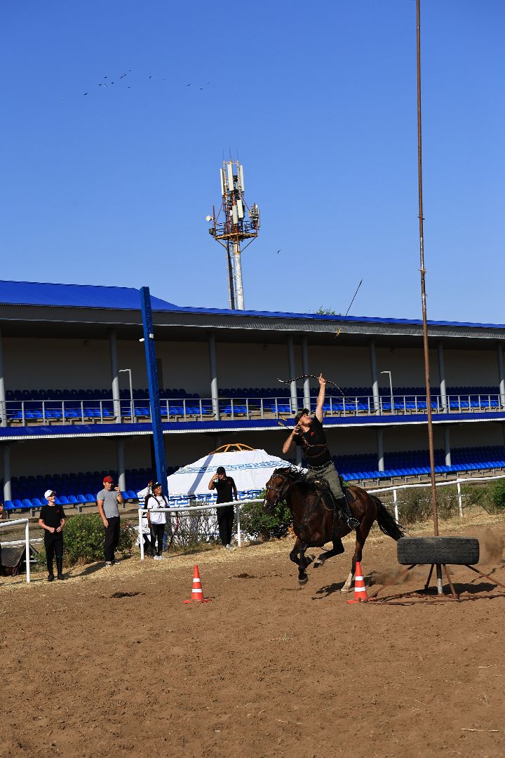 лошади, шаховская, спортсмены, конно-спортивная школа,