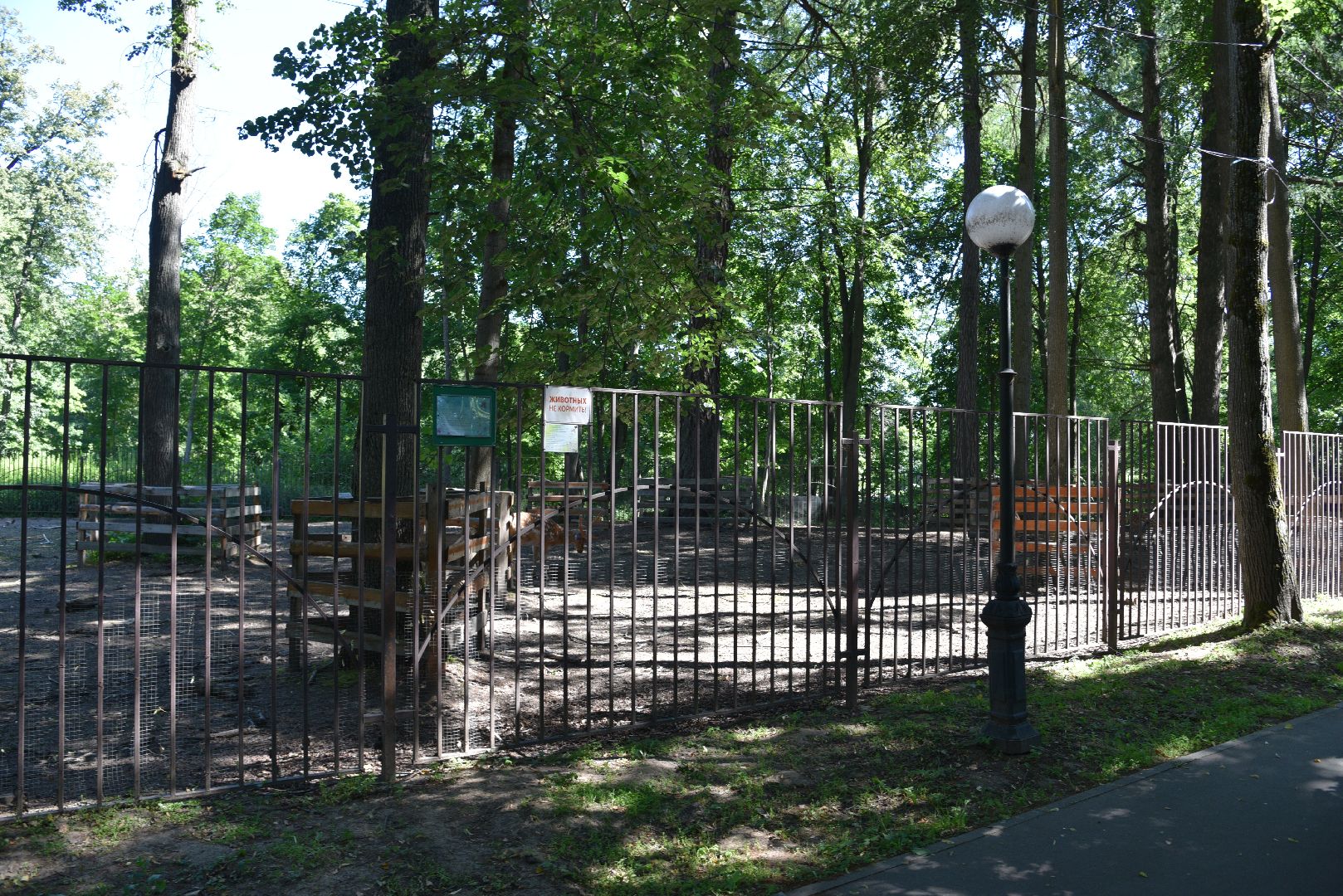 лотошино, лотошинский парк, пятнистые олени, парки подмосковья, дети, животные,