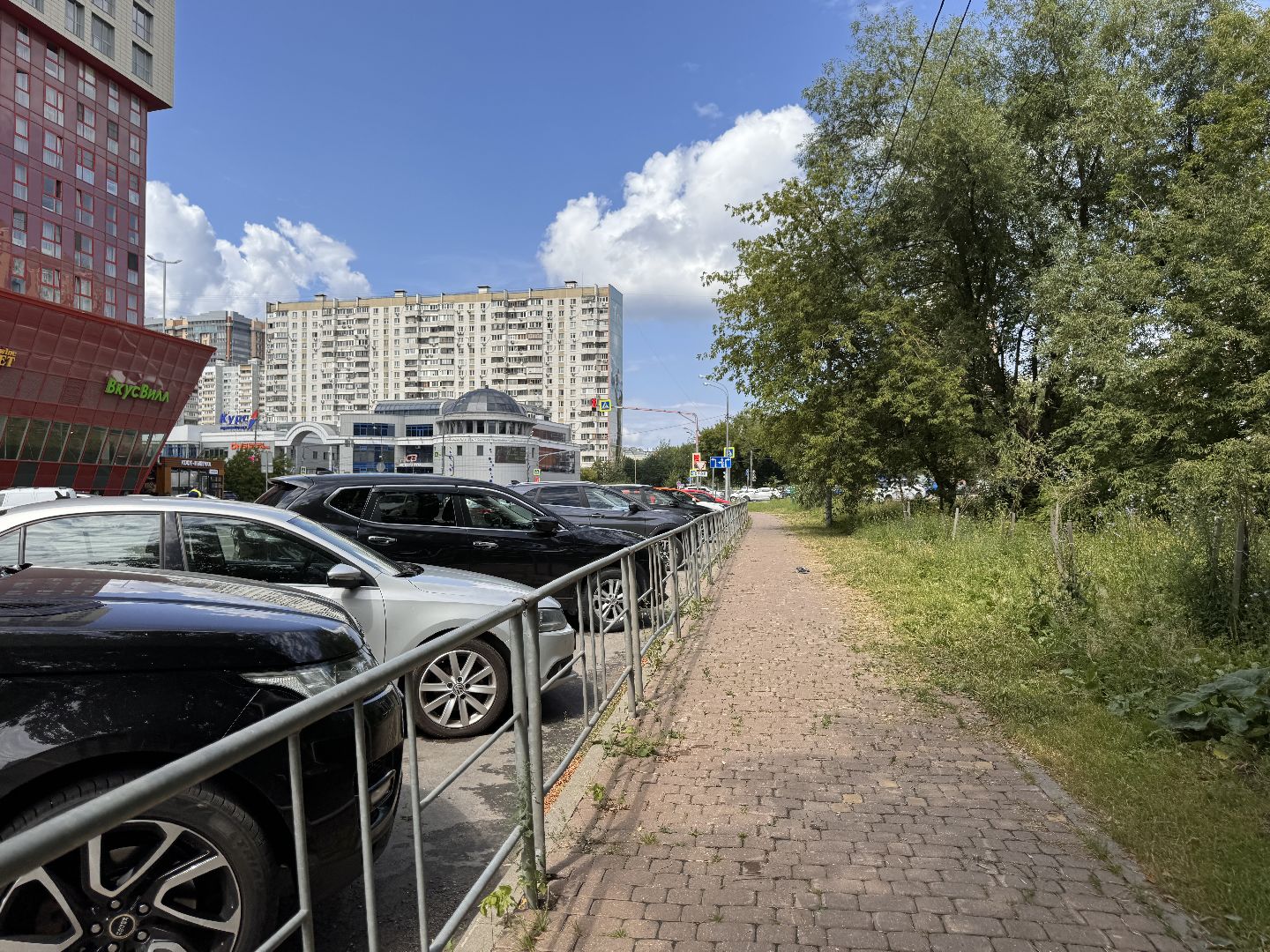 Одинцово, Безопасность, Народные дружинники, Русская община,