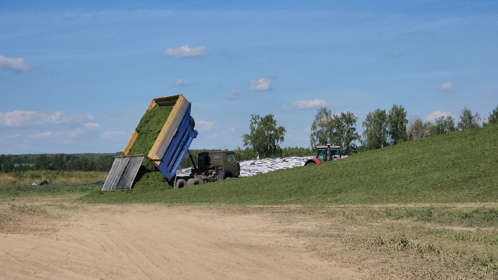ступино, сельское хозяйство, заготовка кормов,