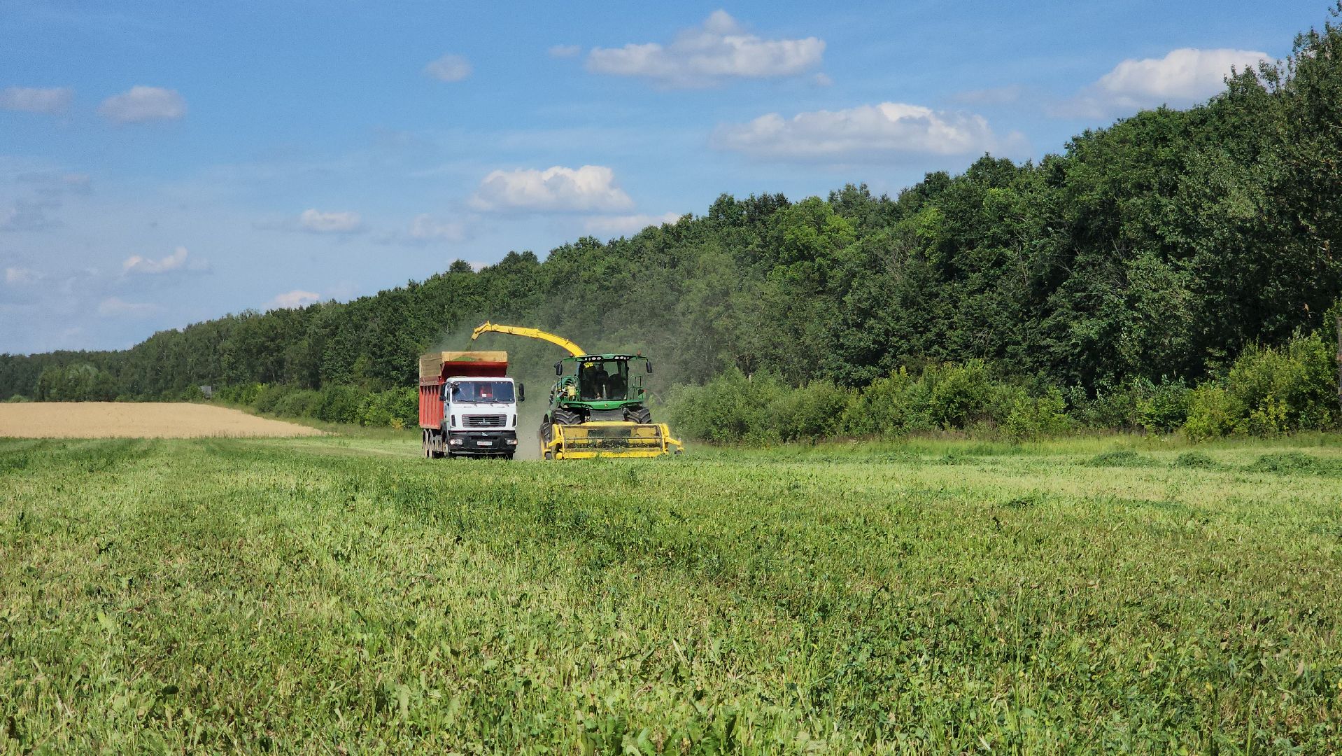 ступино, сельское хозяйство, заготовка кормов,