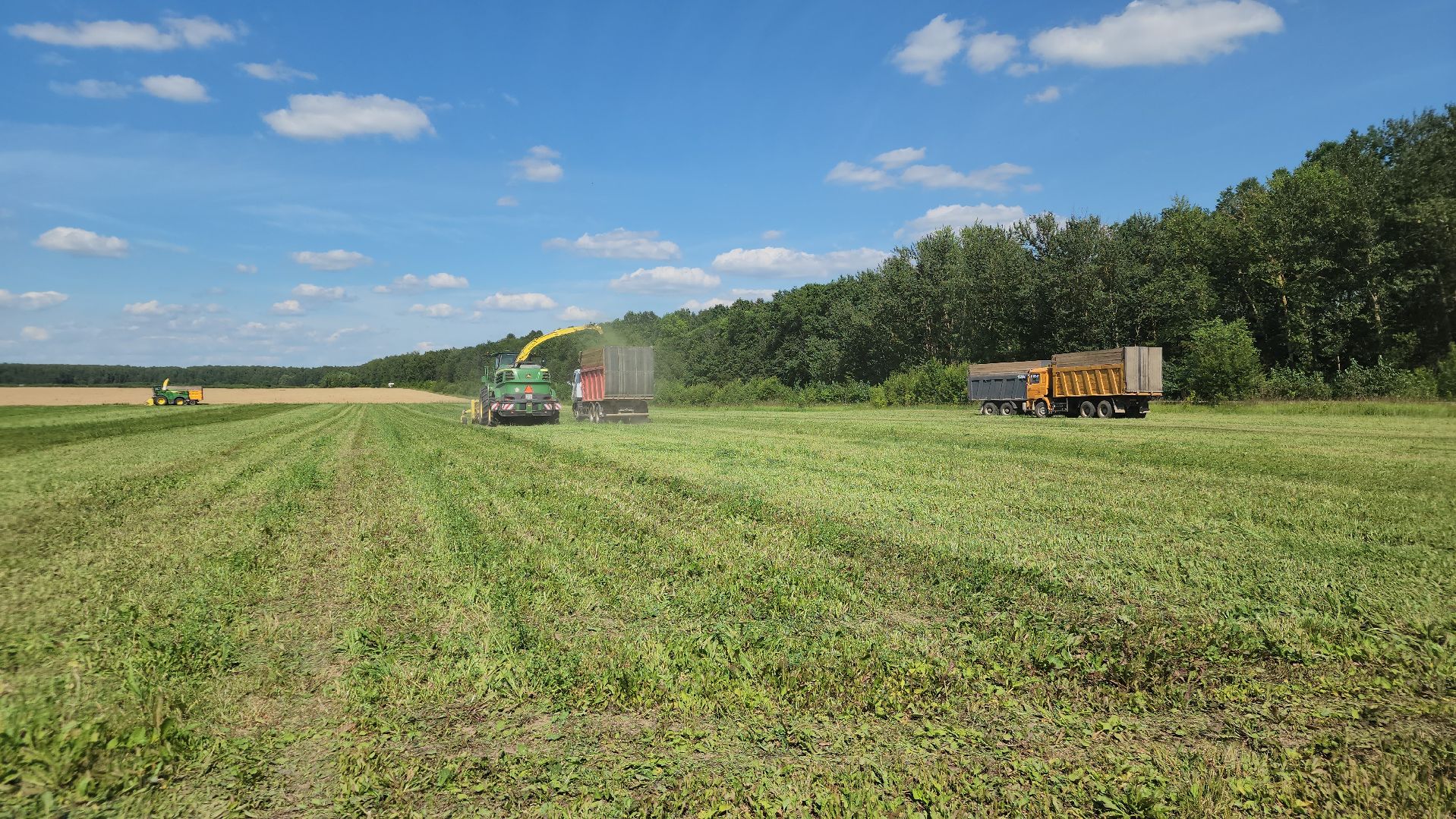 ступино, сельское хозяйство, заготовка кормов,