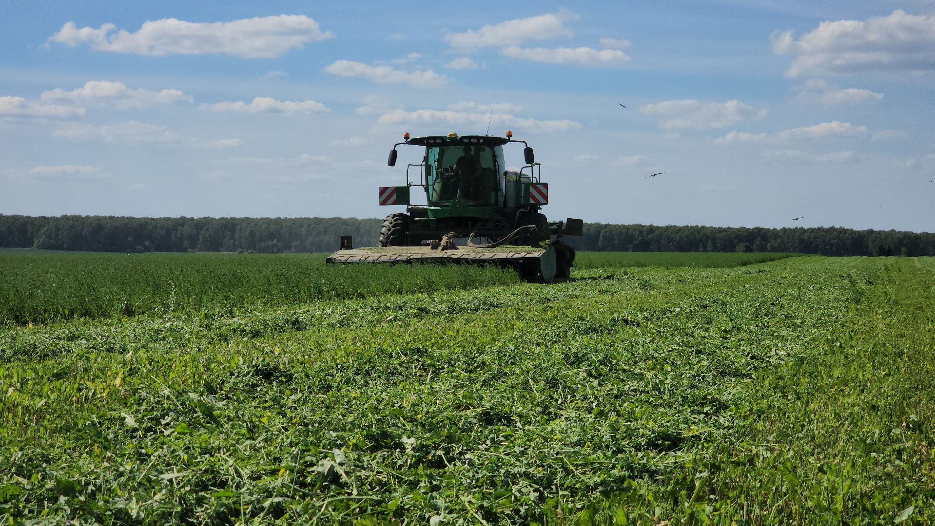 ступино, сельское хозяйство, заготовка кормов,