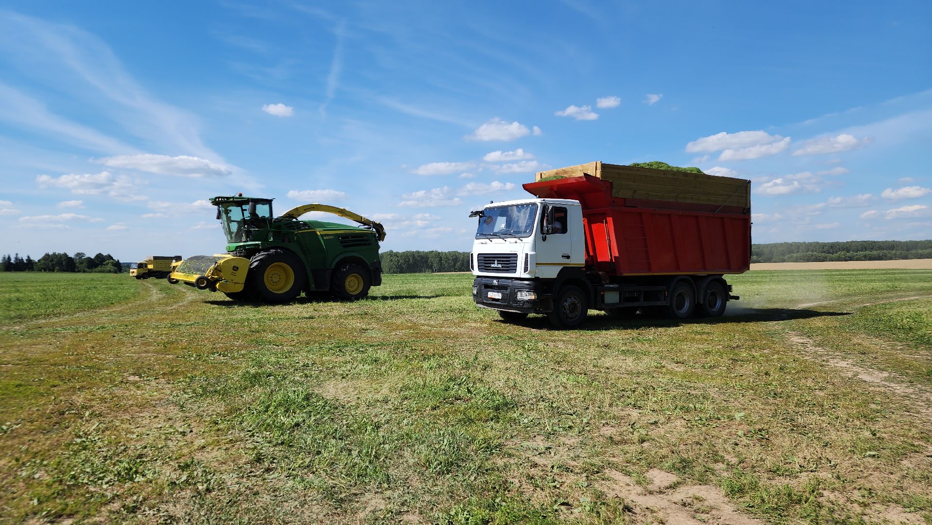 ступино, сельское хозяйство, заготовка кормов,