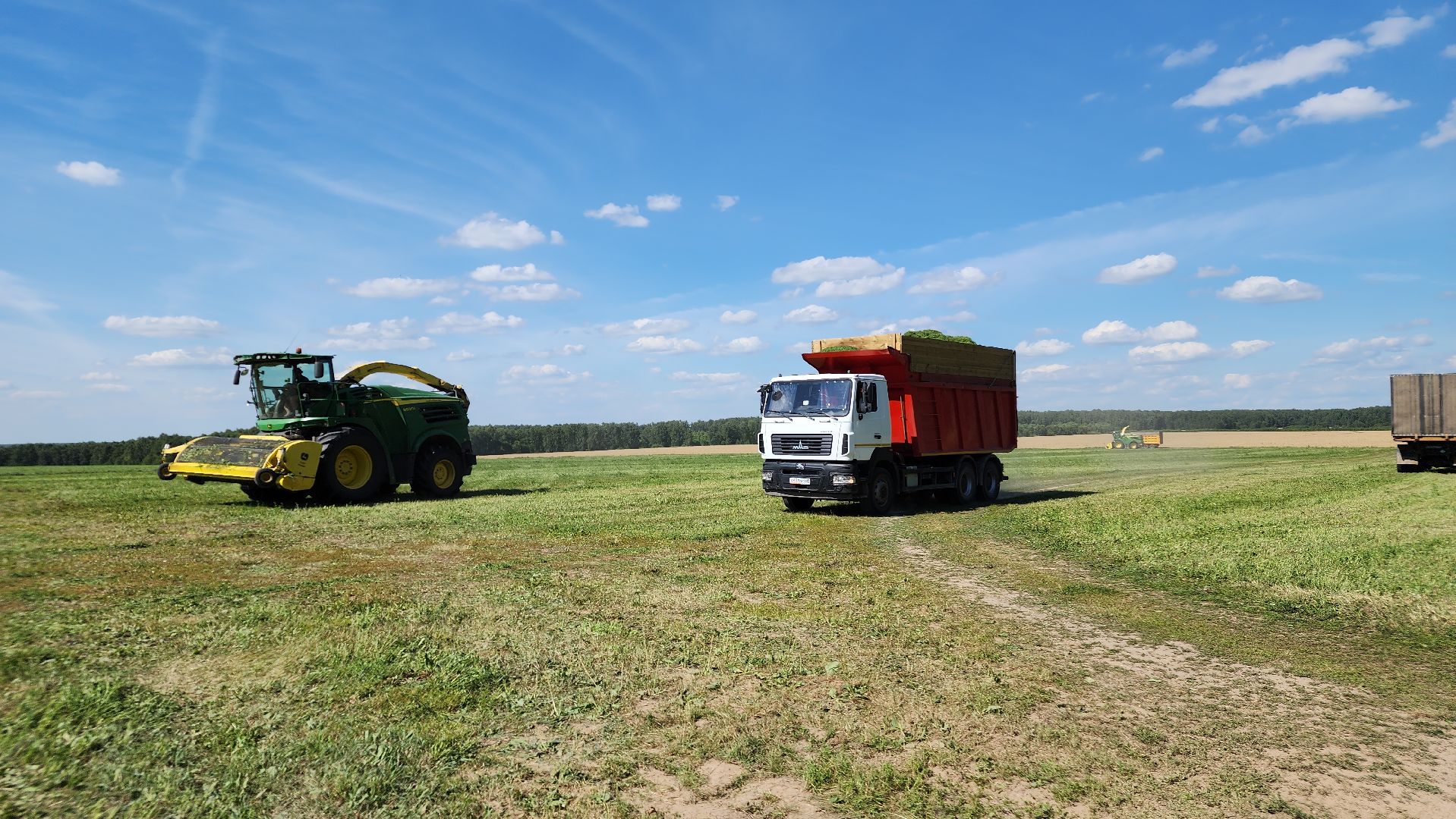 ступино, сельское хозяйство, заготовка кормов,