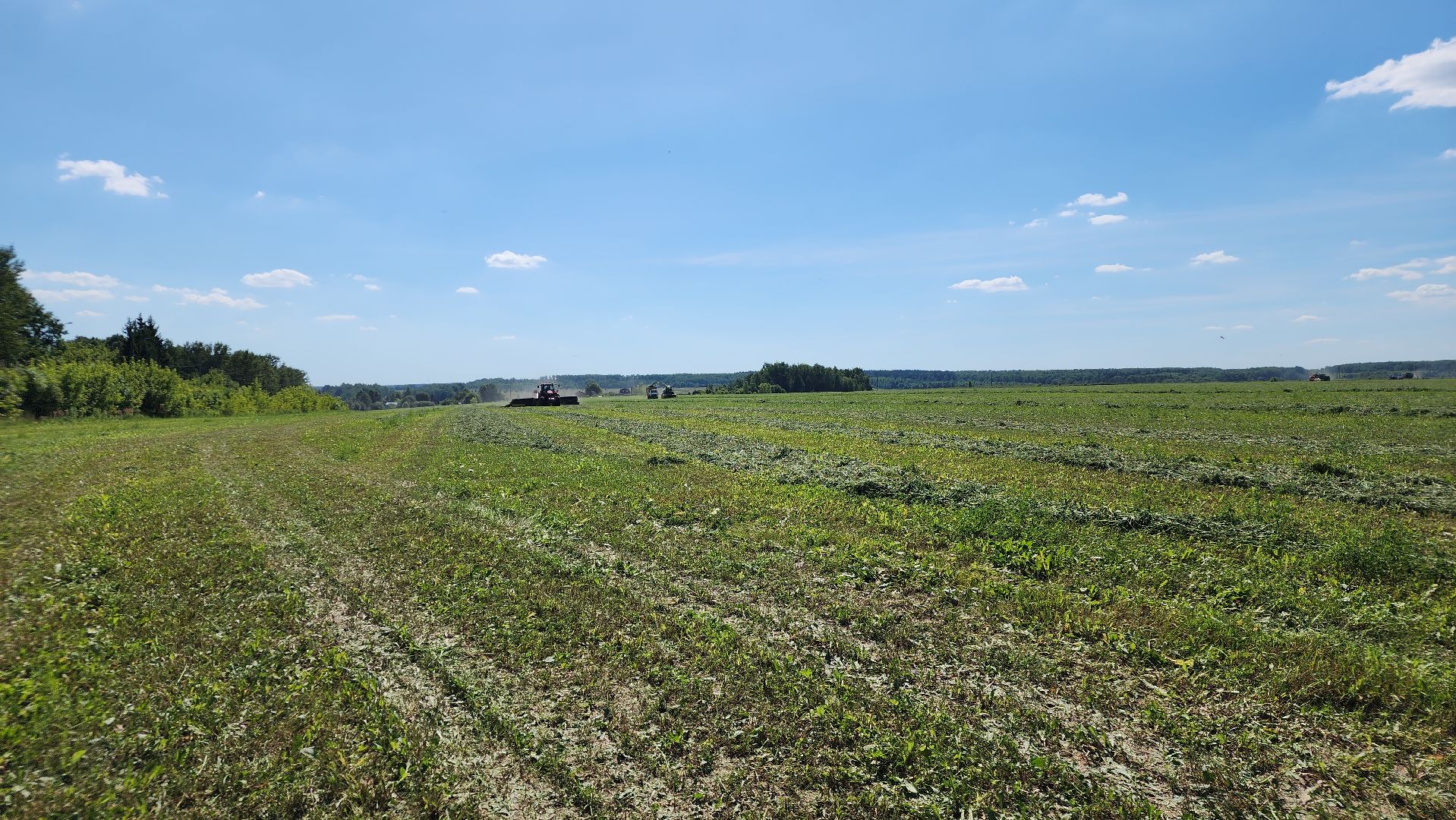 ступино, сельское хозяйство, заготовка кормов,