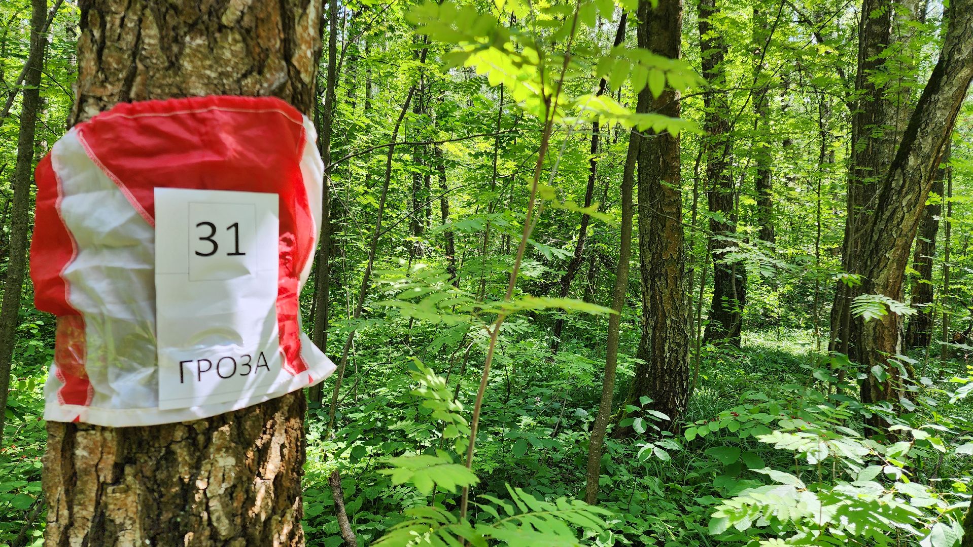 ЦВПВ, Ориентирование, Городской лес, Парк, Уроки ориентирования, Домодедово, Подмосковье,