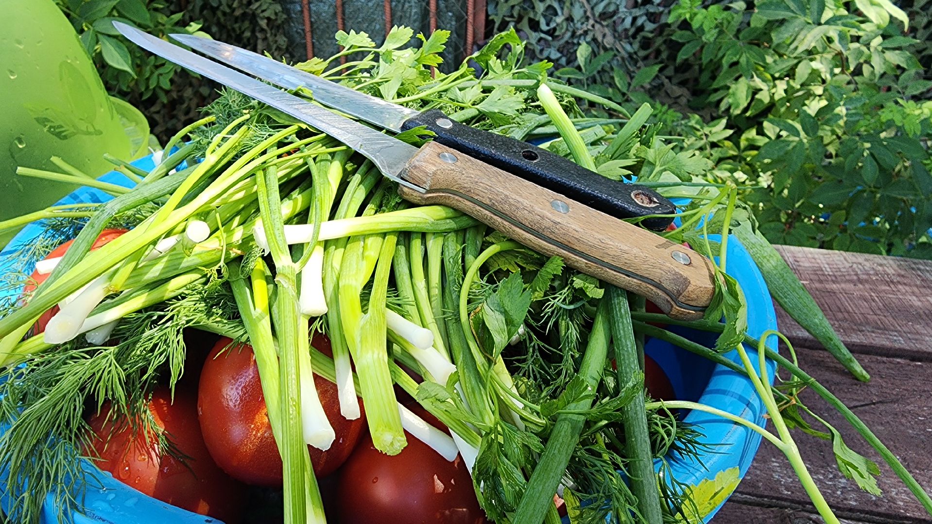 Активное долголетие, день рыбака, Луковое озеро, Ногинск, Богородский городской округ,