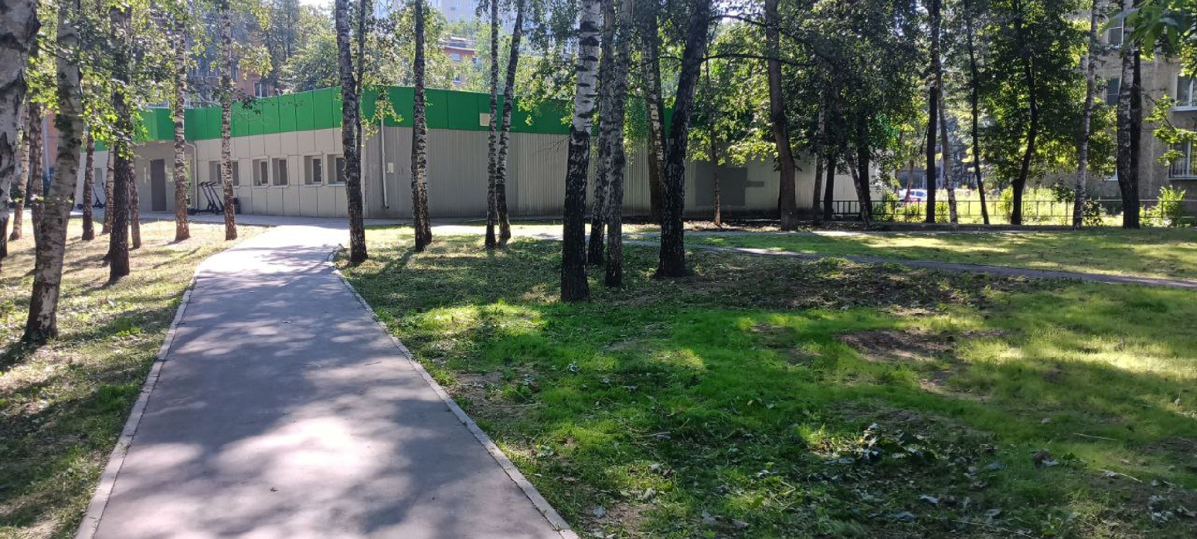 пушкино, газон, благоустройство, покос травы, трава, семена,