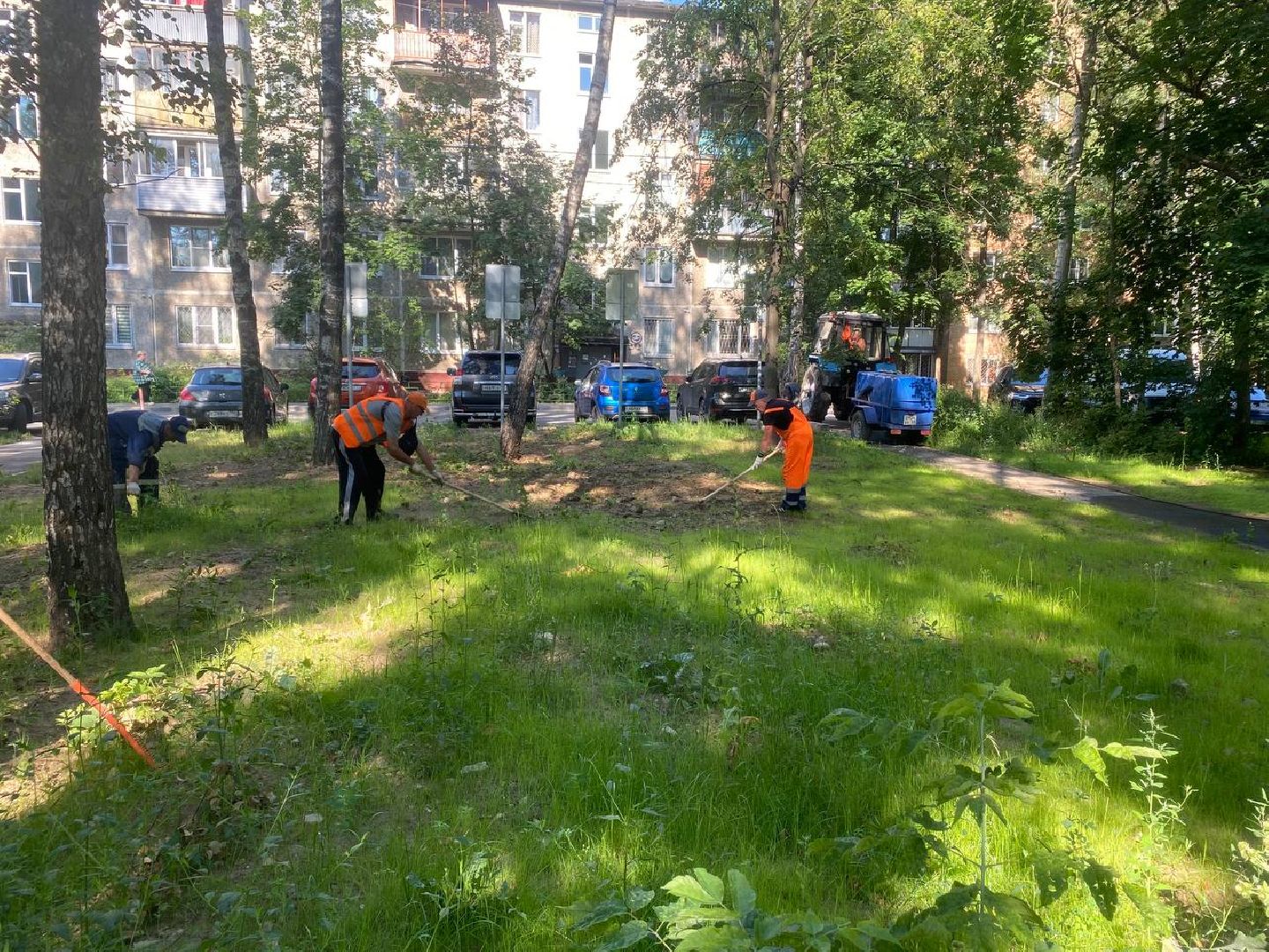 пушкино, газон, благоустройство, покос травы, трава, семена,