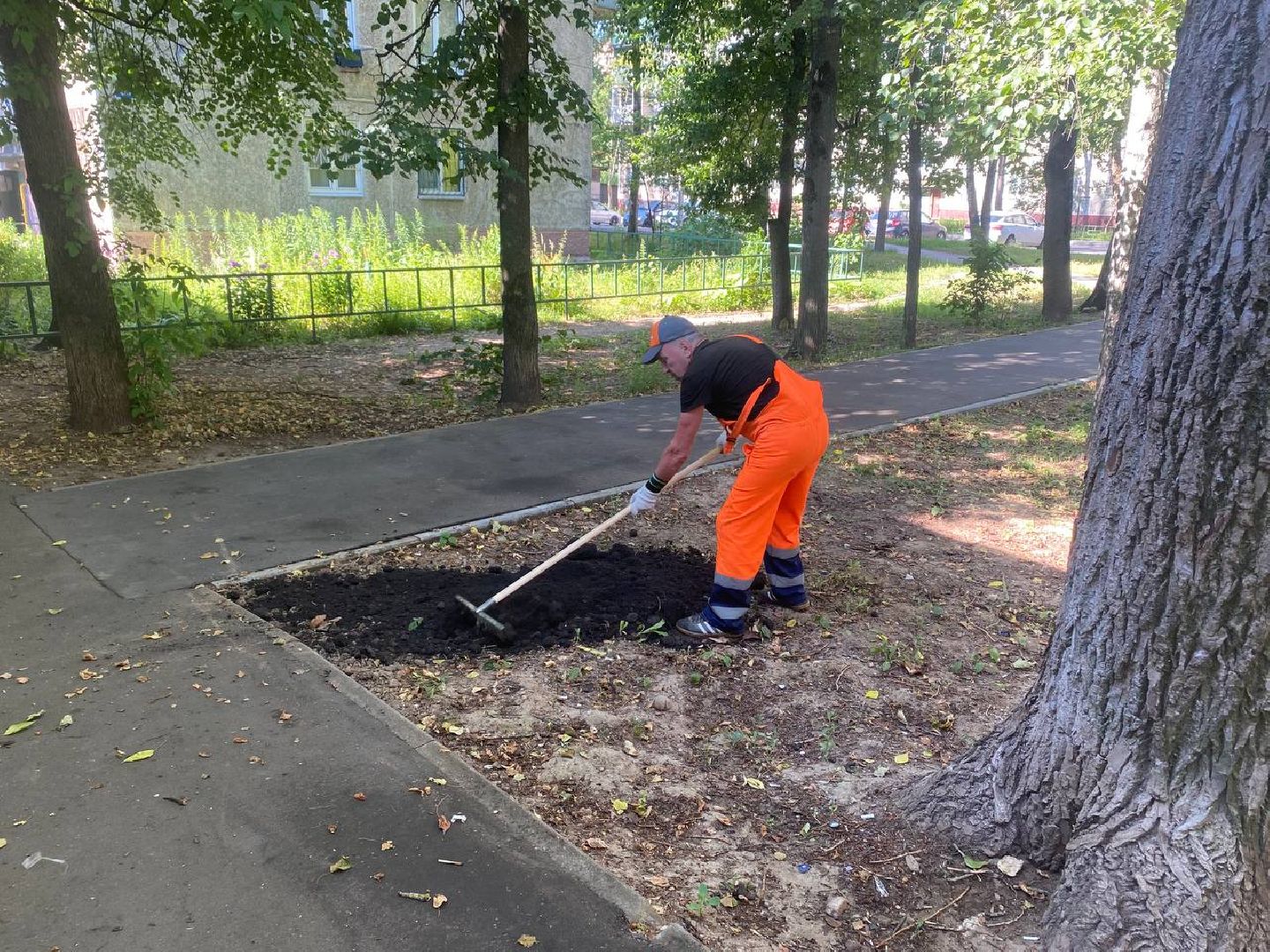 пушкино, газон, благоустройство, покос травы, трава, семена,