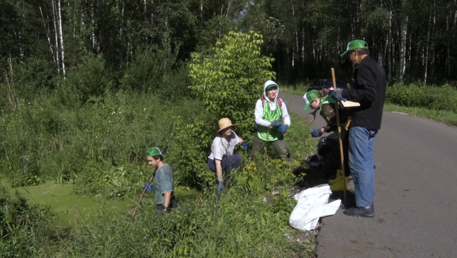 Клин, общество, волонтеры, экология, субботник,