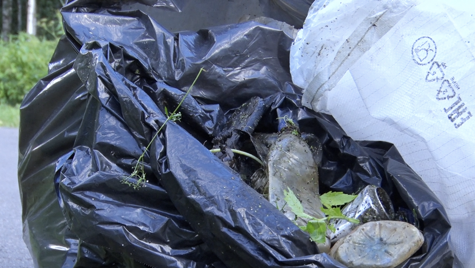 Клин, общество, волонтеры, экология, субботник,