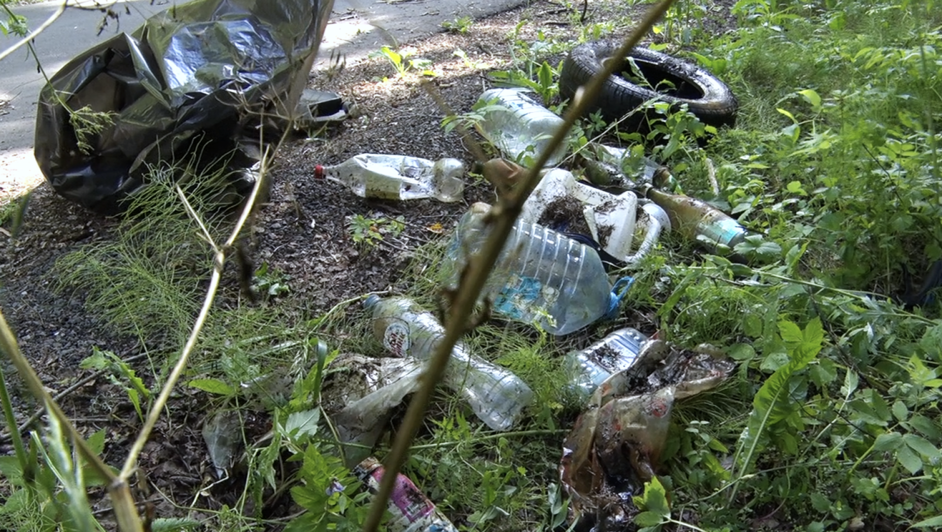 Клин, общество, волонтеры, экология, субботник,