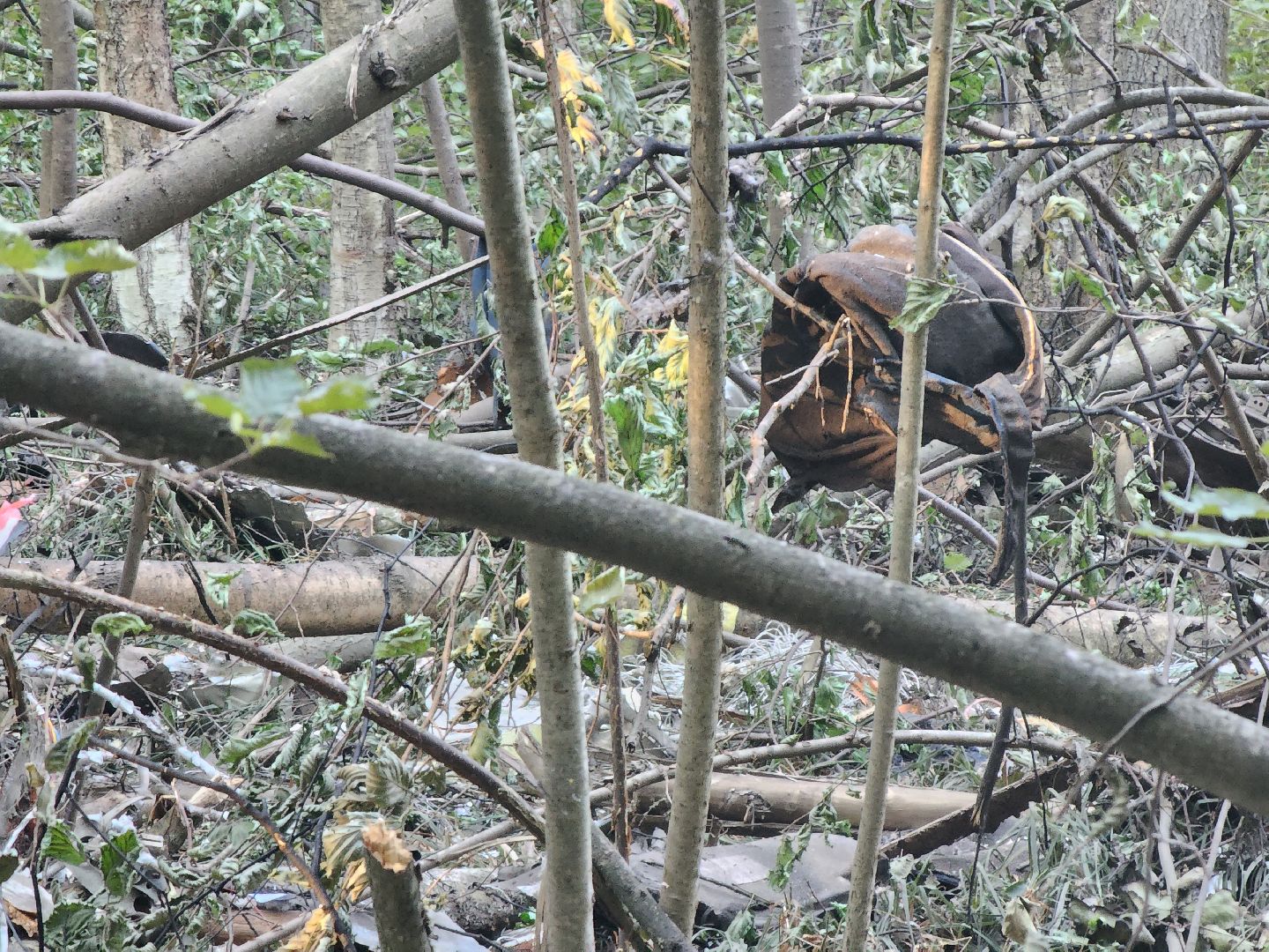 Коломна, чп, крушение самолета,