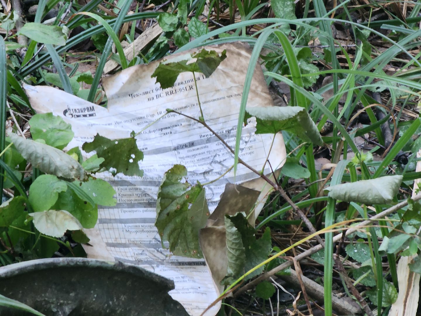 Коломна, чп, крушение самолета,