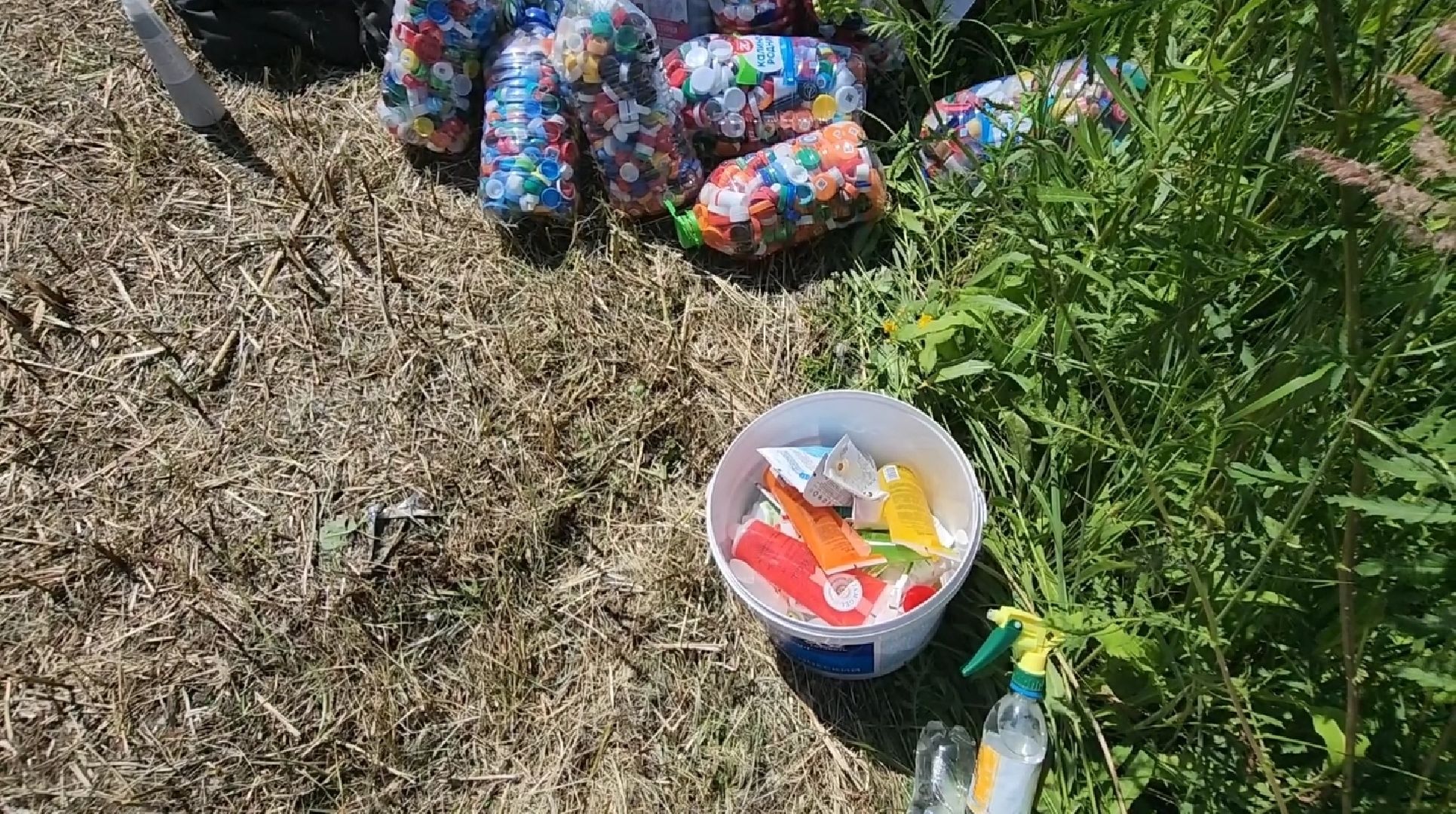 долгопрудный, раздельный сбор отходов, пераработка, гранулы, Новые Водники, экологическая акция,