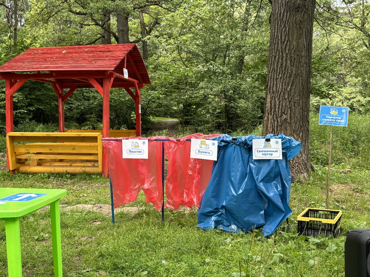 Горенский лесопарк, экология, чистые игры,